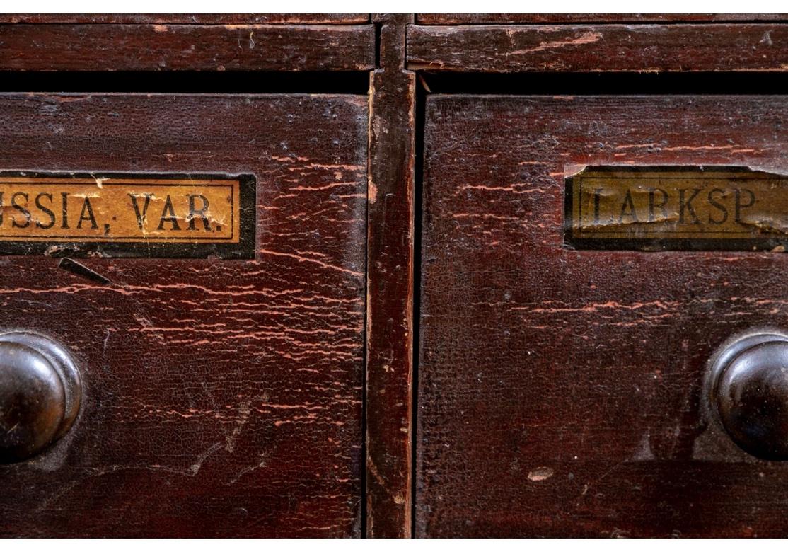 apothecary chest of drawers