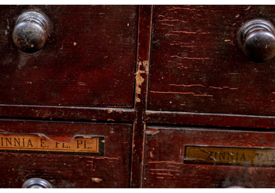 Exceptional 19th C. Painted Pine Apothecary Chest In Distressed Condition In Bridgeport, CT