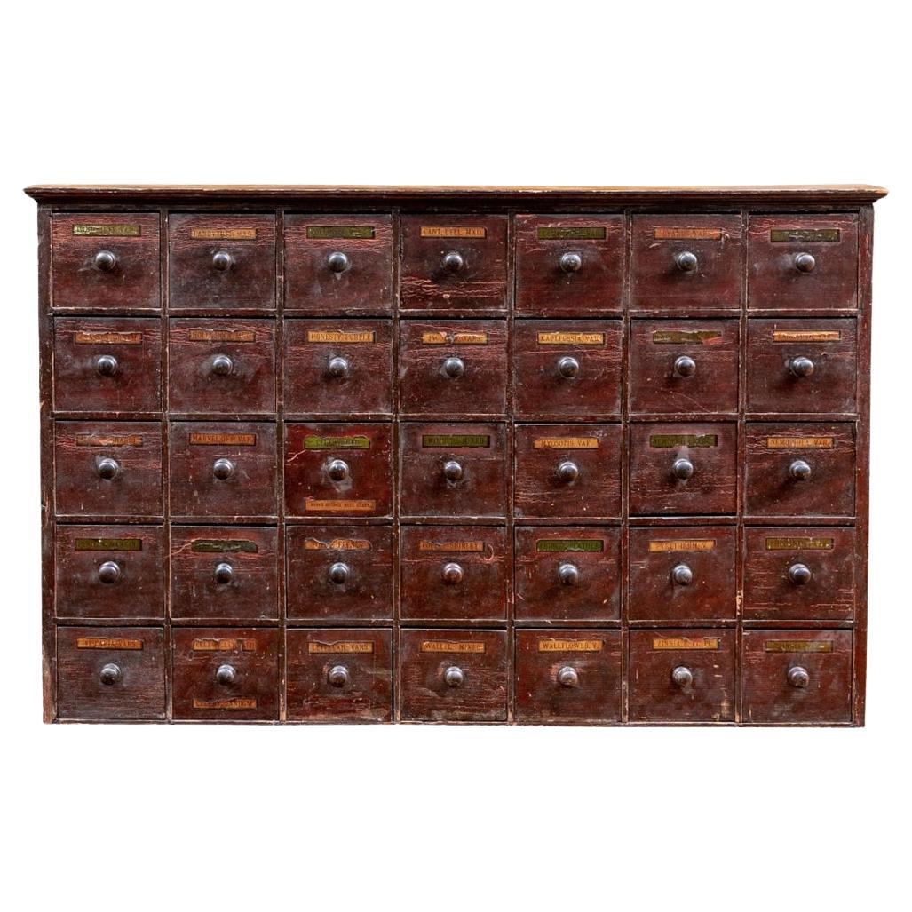 Exceptional 19th C. Painted Pine Apothecary Chest