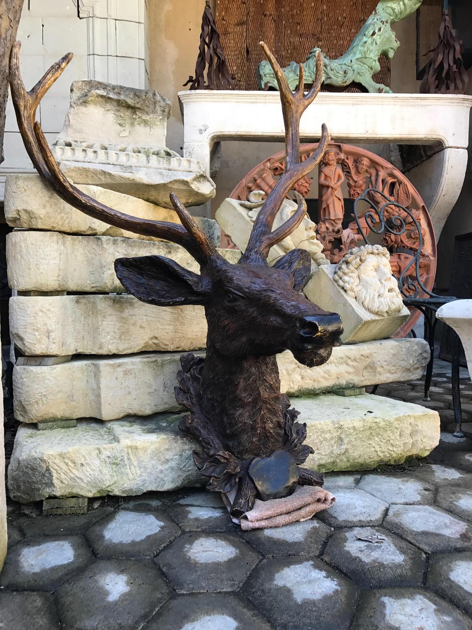 19th C Black Forest Stag Head Antler wall mount deer Sculpture Statue LA antique 1