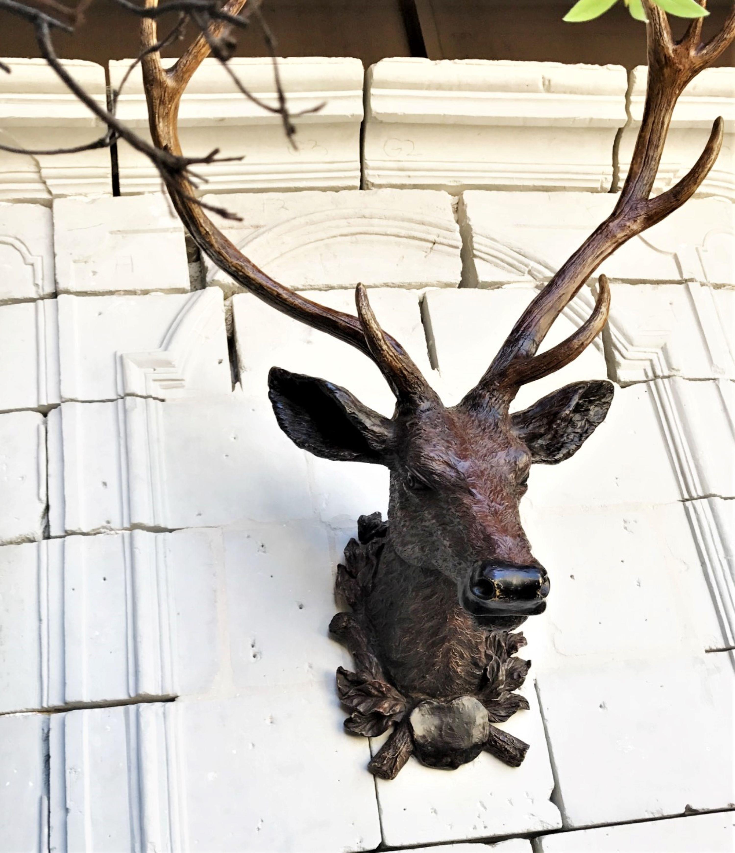 Exceptional 19th century Black Forest stag head from a Chateau de Chasse. Germany.
The Black Forest (German: Schwarzwald, is a large forested mountain range in the state of Baden-Württemberg in southwest Germany. It is bounded by the Rhine valley to