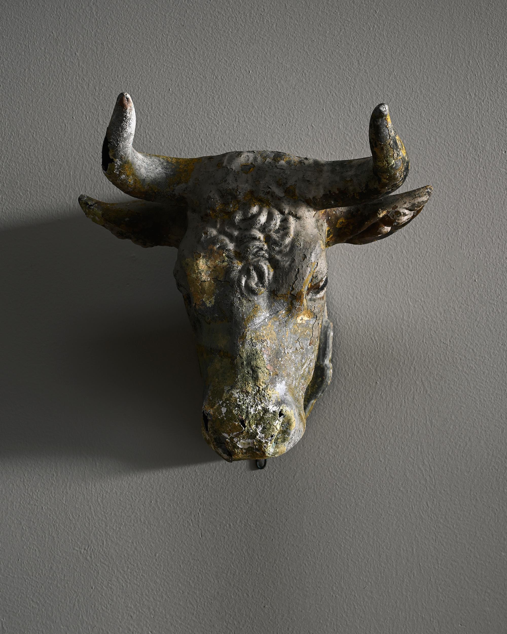 Exceptional 19th century butcher's bull's head trade sign with a fantastic weathered patinated surface. Ca 1860 England. 
