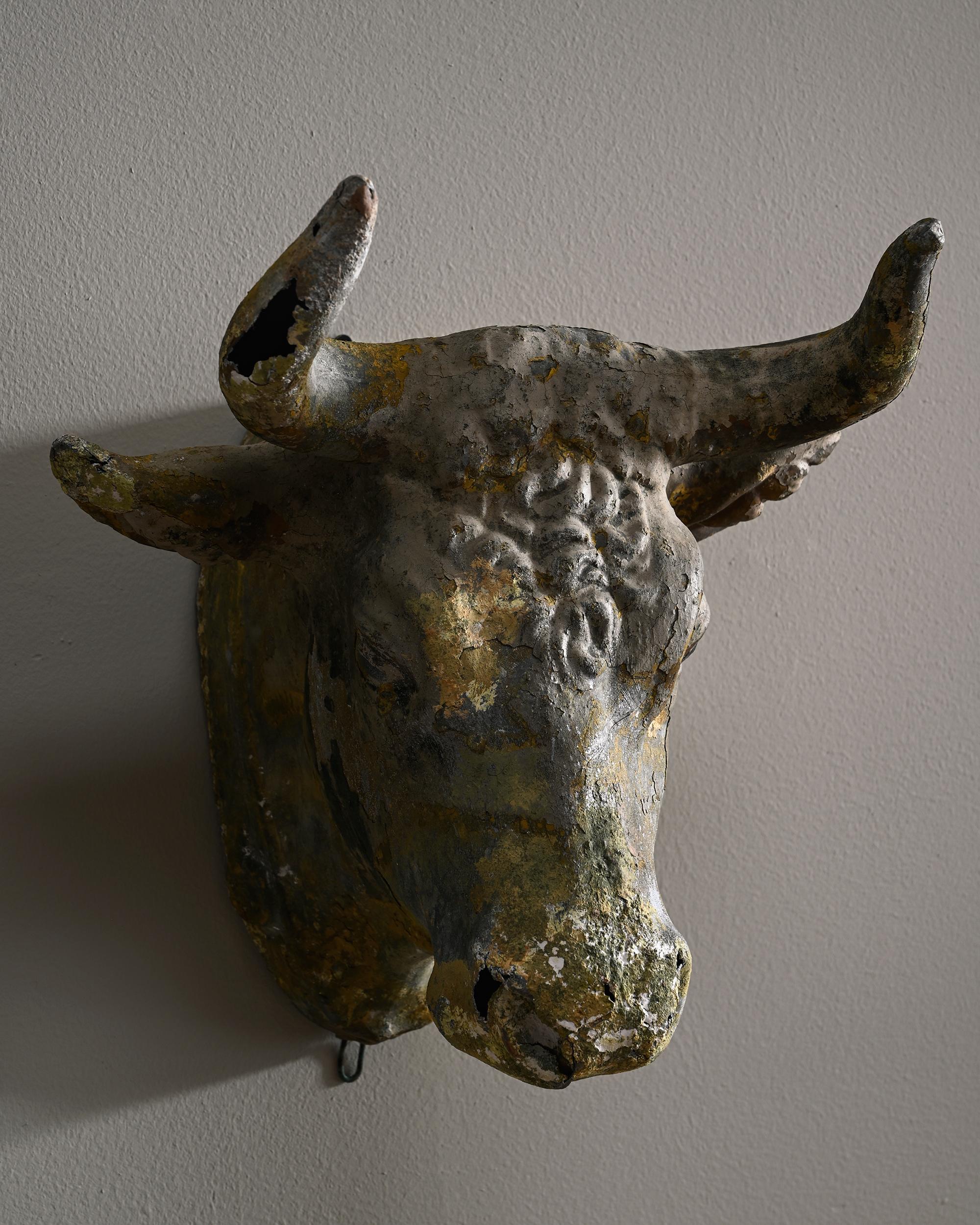 bull trade logo