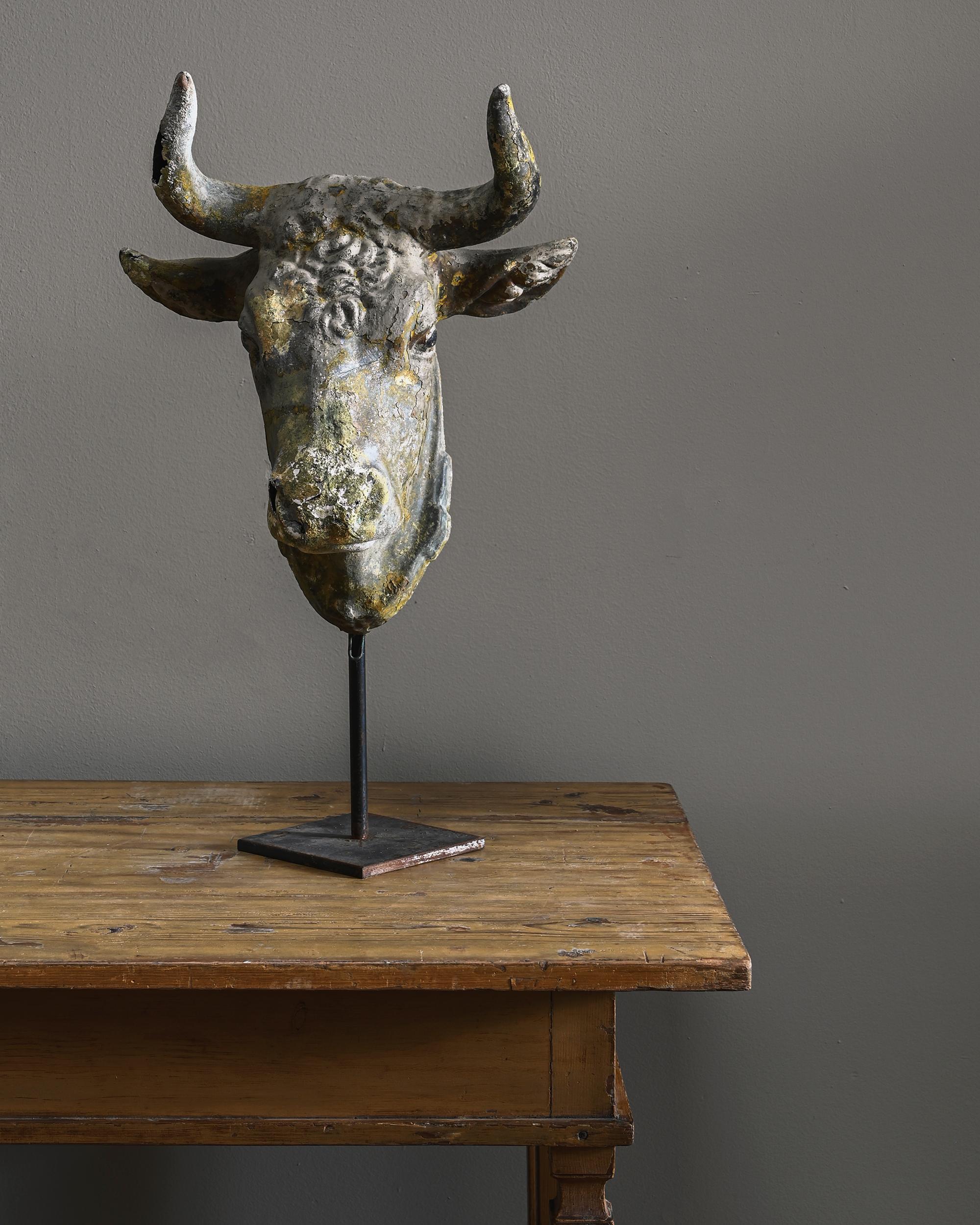 Folk Art Exceptional 19th Century Butcher's Bull's Head Trade Sign