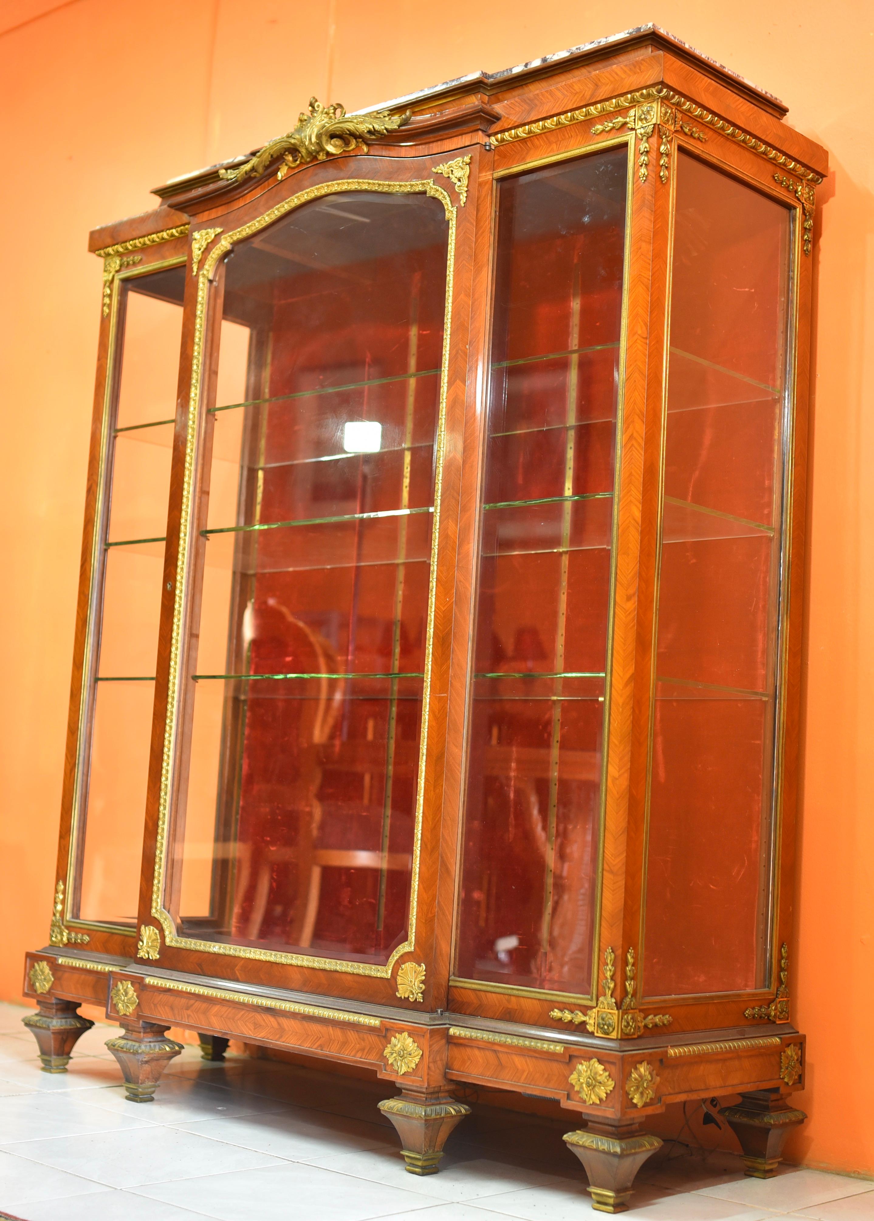 Exceptional 19th Century French Ormolu Kingwood Showcase by Maison Millet 11