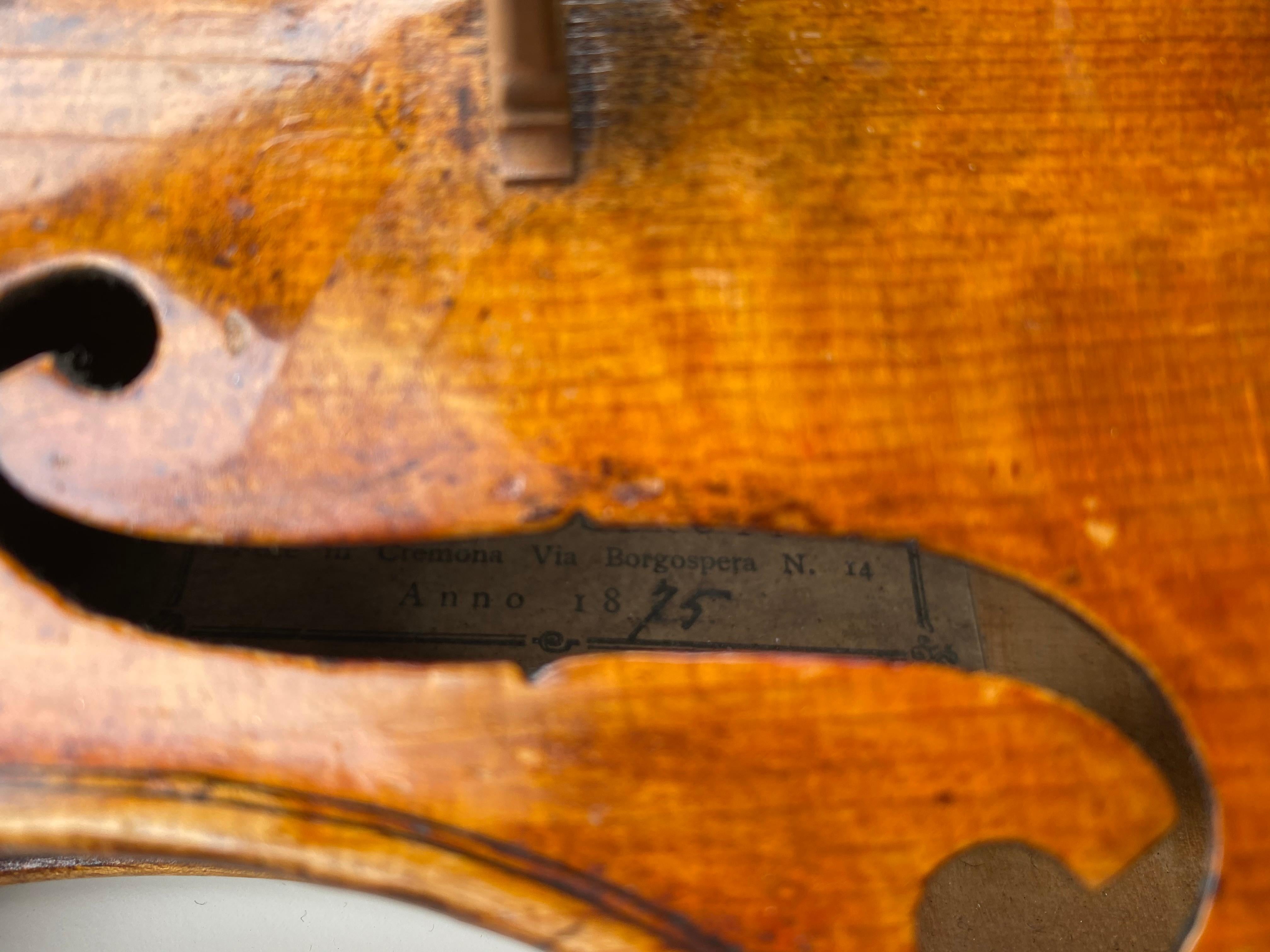 Italian Exceptional 19th Century Violin by Enrico Ceruti, Cremona 1875 For Sale