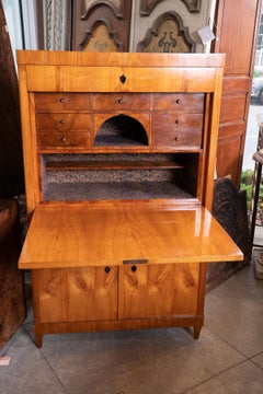 Exceptional 19th Century Biedermeier Abattant