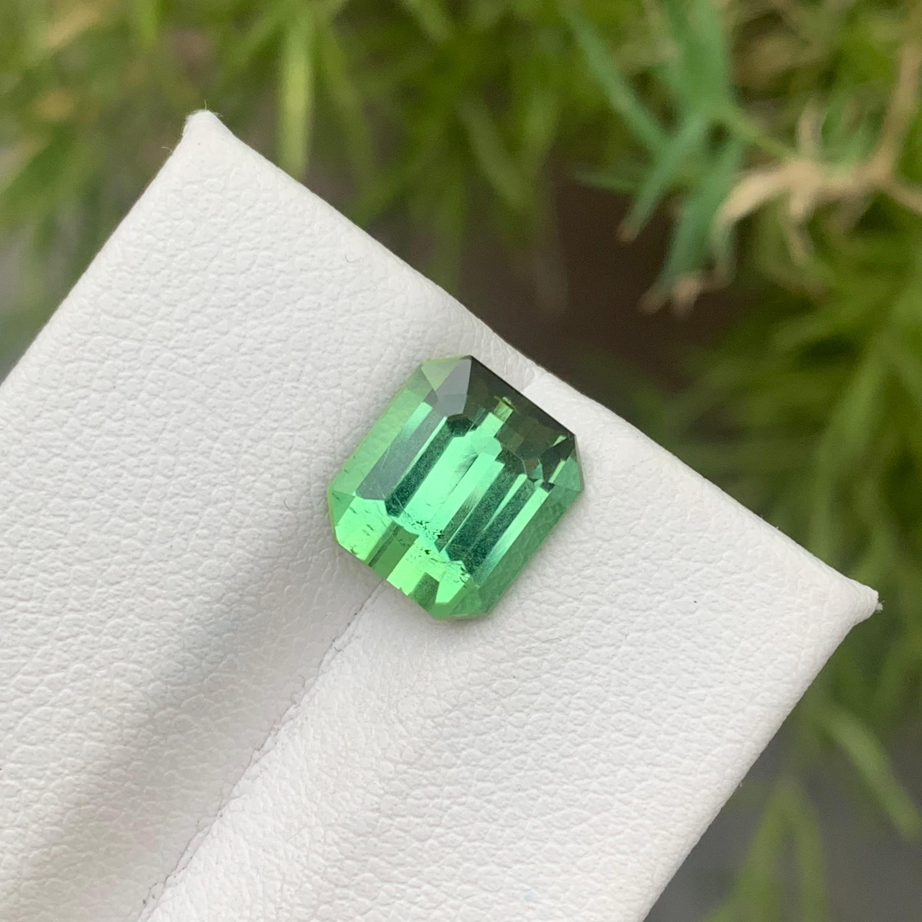 Gemstone Type : Tourmaline
Weight : 3.65 Carats
Dimensions : 9.3x8.3x5.8 Mm
Origin : Kunar Afghanistan
Clarity : Eye Clean
Shape: Emerald
Color: Mint Green
Certificate: On Demand
Basically, mint tourmalines are tourmalines with pastel hues of light