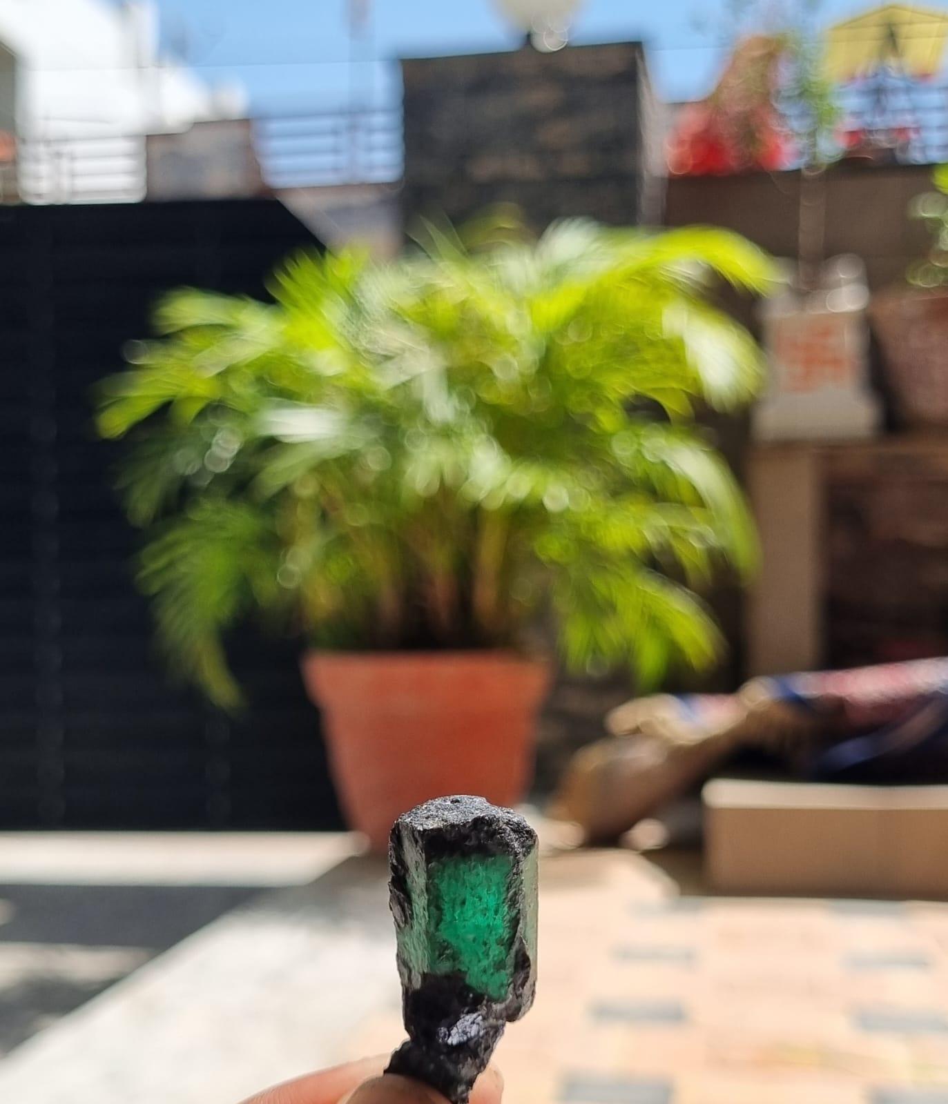 Nous présentons une magnifique émeraude brésilienne brute de 46 carats, un trésor authentique présentant une teinte verte vive et intense ainsi qu'une translucidité naturelle saisissante. Provenant directement des célèbres gisements d'émeraudes du