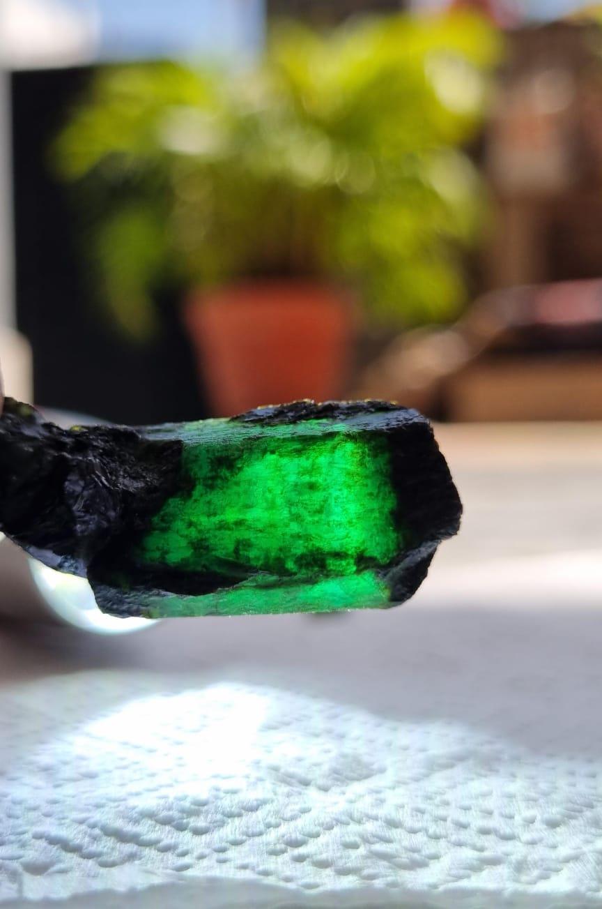 Exceptionnel spécimen d'émeraude brute brésilienne de 46 carats en vente 1