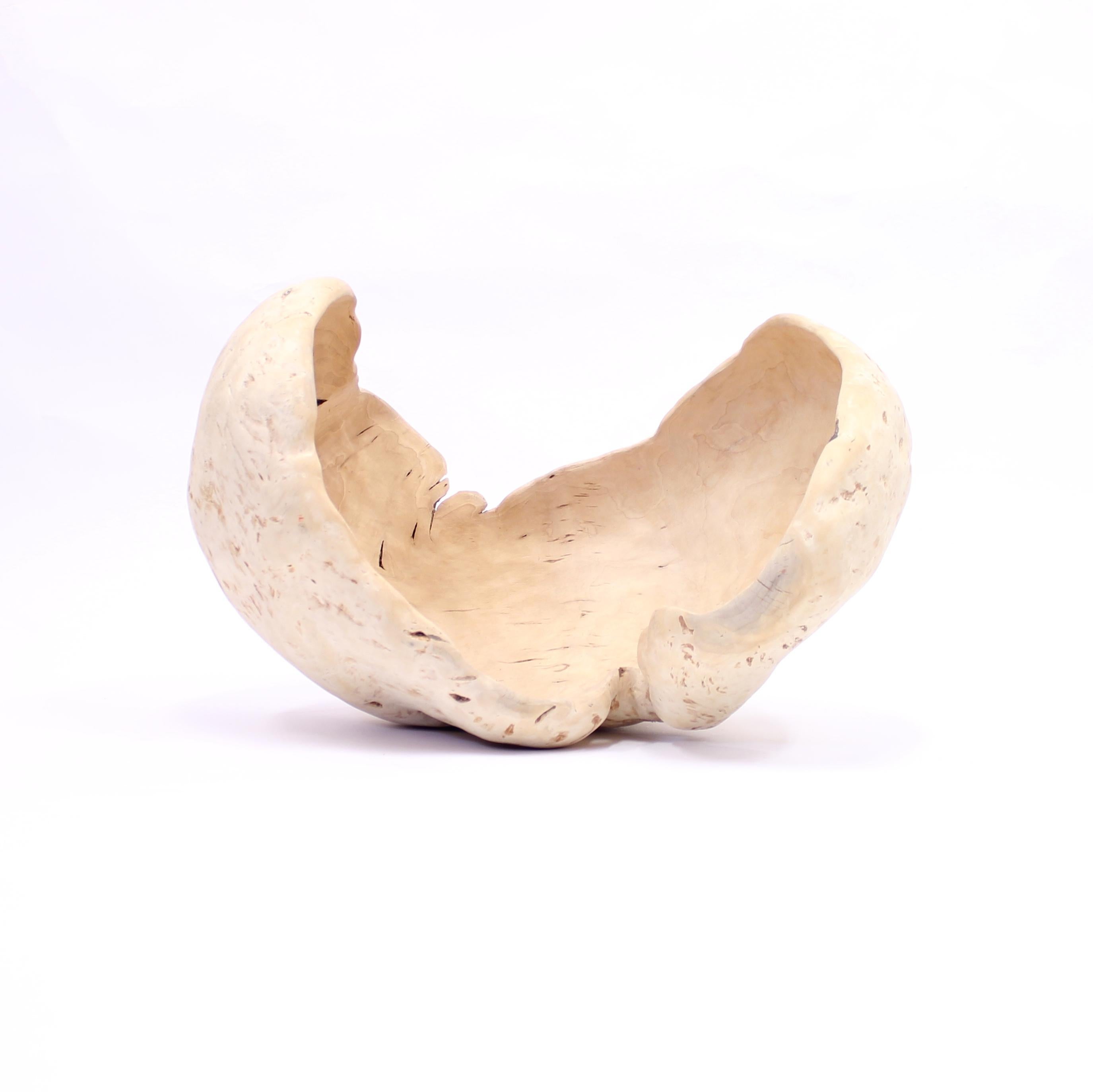 Hand-Carved Exceptional and Very Large Swedish Burl Bowl of Birch, 1984