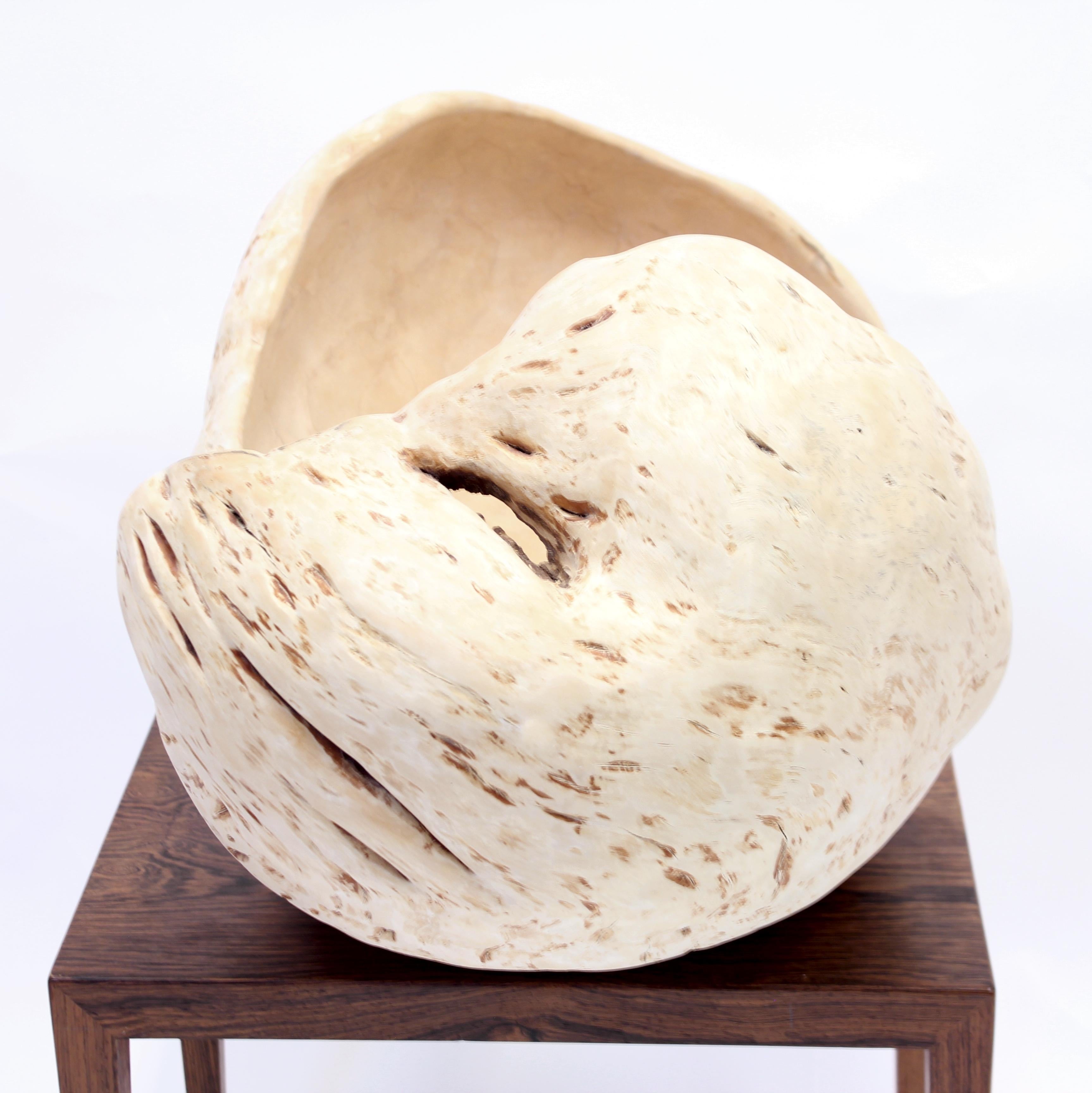 Exceptional and Very Large Swedish Burl Bowl of Birch, 1984 1