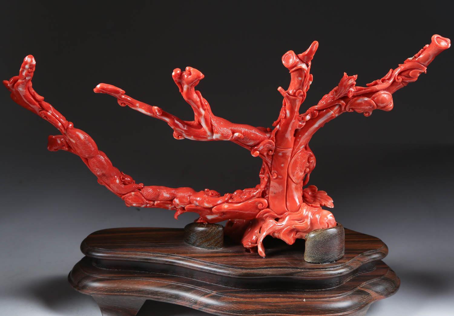 An exceptional Chinese carved coral tree branch with monkeys and squirrels, Qing dynasty.

Very finely carved. With original wooden base.

Coral: 6.5