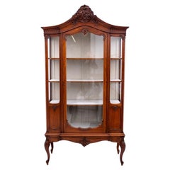 Antique Exceptional display cabinet, Western Europe, France, circa 1910.