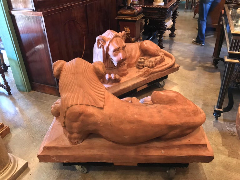 Exceptional Fine And Rare Pair Of French Retour Degypt Period Terracotta Lions - 