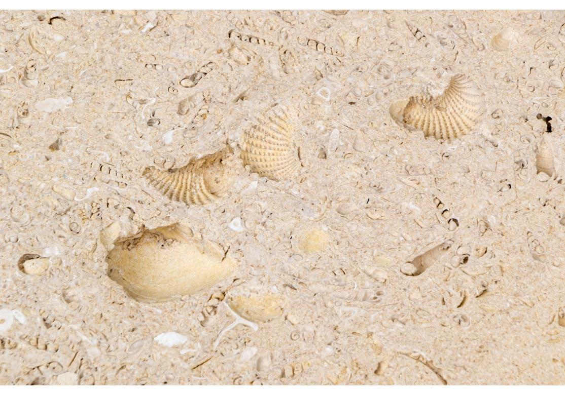 Außergewöhnlicher Formations Baldacchino Muschelstein-Cocktailtisch für Holly Hunt im Angebot 3
