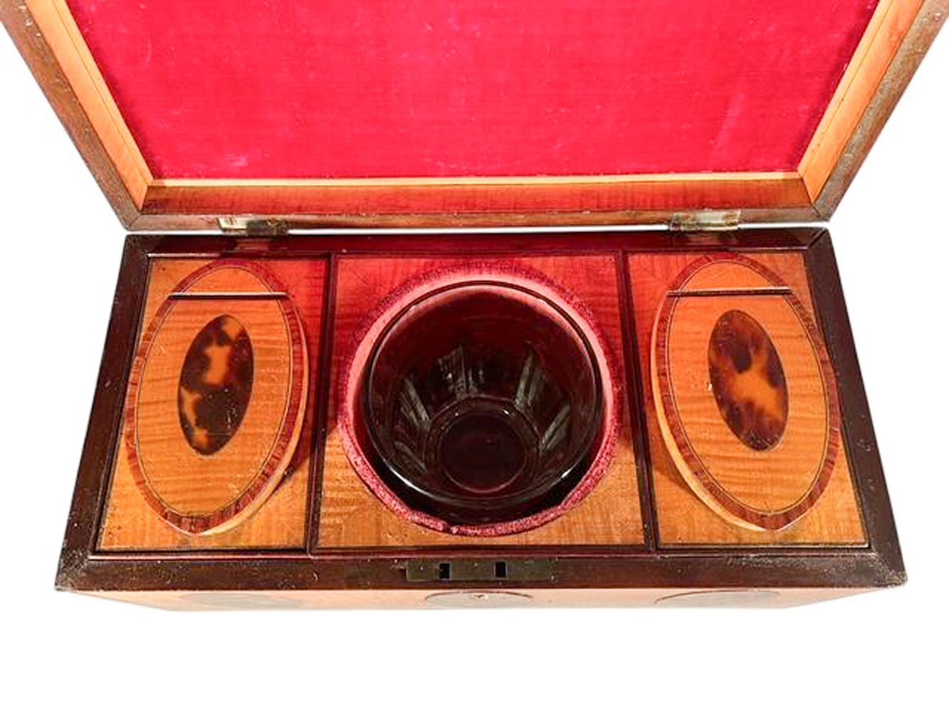 Exceptional Georgian Crossbanded Satinwood Tea Caddy w/ Oval Inlaid Shell Panels For Sale 3