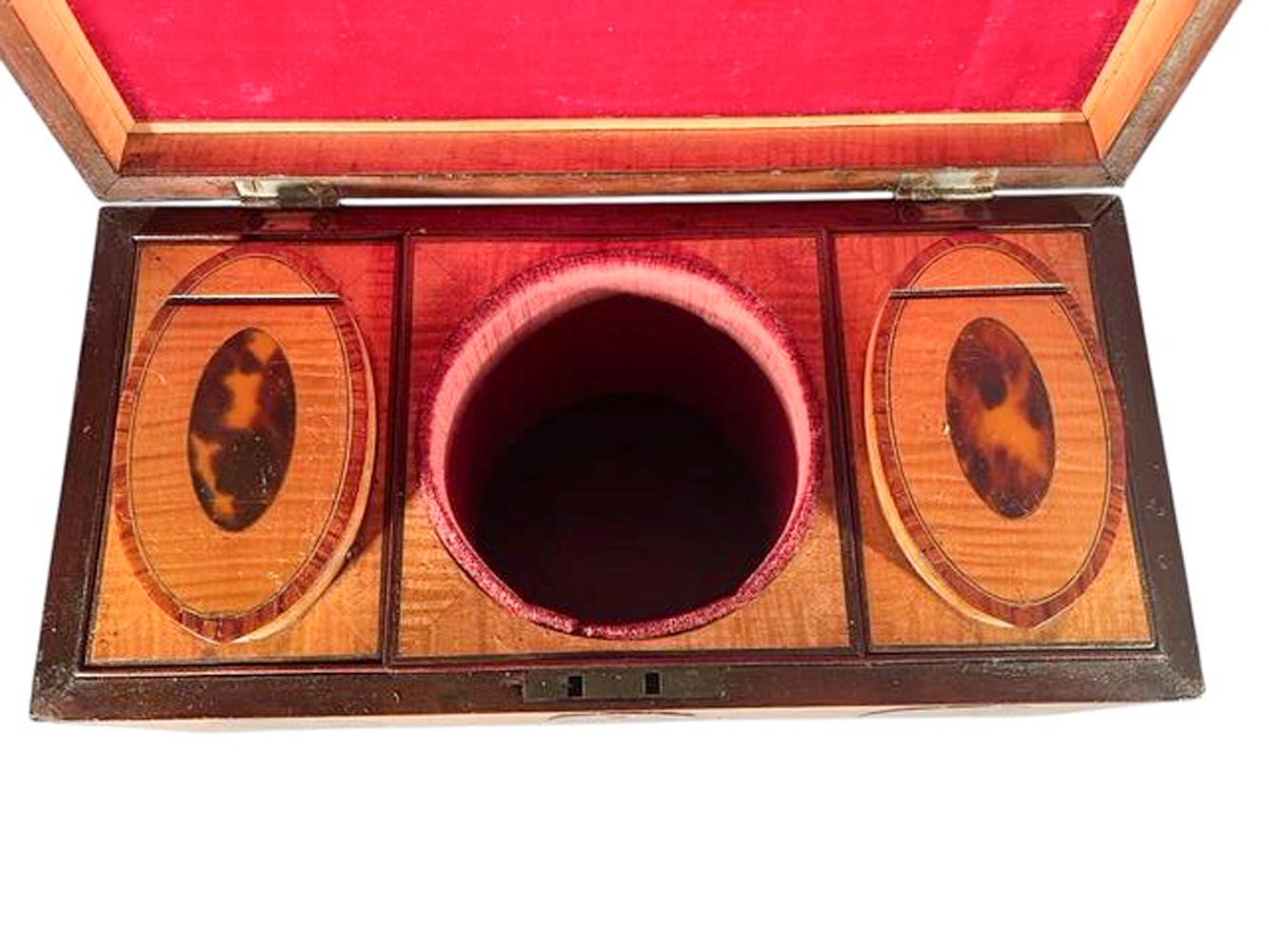 Exceptional Georgian Crossbanded Satinwood Tea Caddy w/ Oval Inlaid Shell Panels For Sale 4