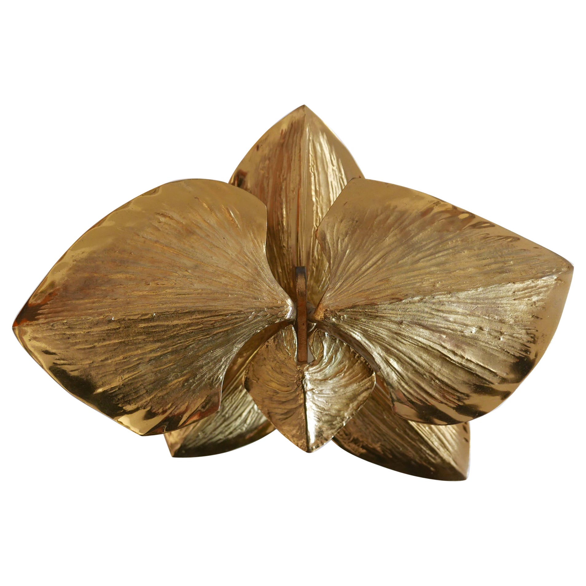 Außergewöhnliche vergoldete Bronze-Wandleuchter-Orchidee von Chrystiane Charles für Charles Paris im Angebot