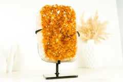 Exceptional Golden Yellow Citrine Cluster with Sparkling Druzy, Crystal Decor