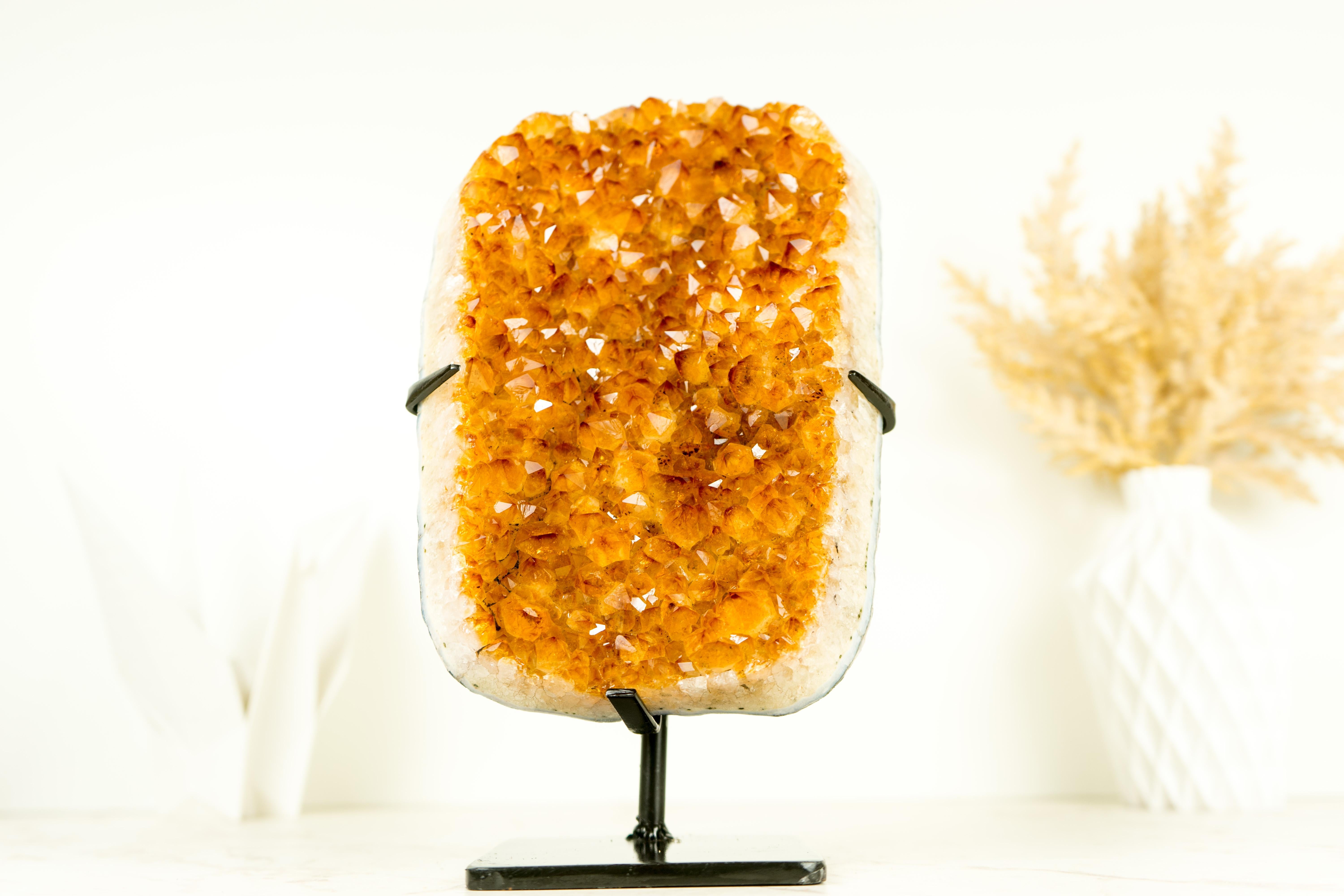 Brazilian Exceptional Golden Yellow Citrine Cluster with Sparkling Druzy, Crystal Decor For Sale
