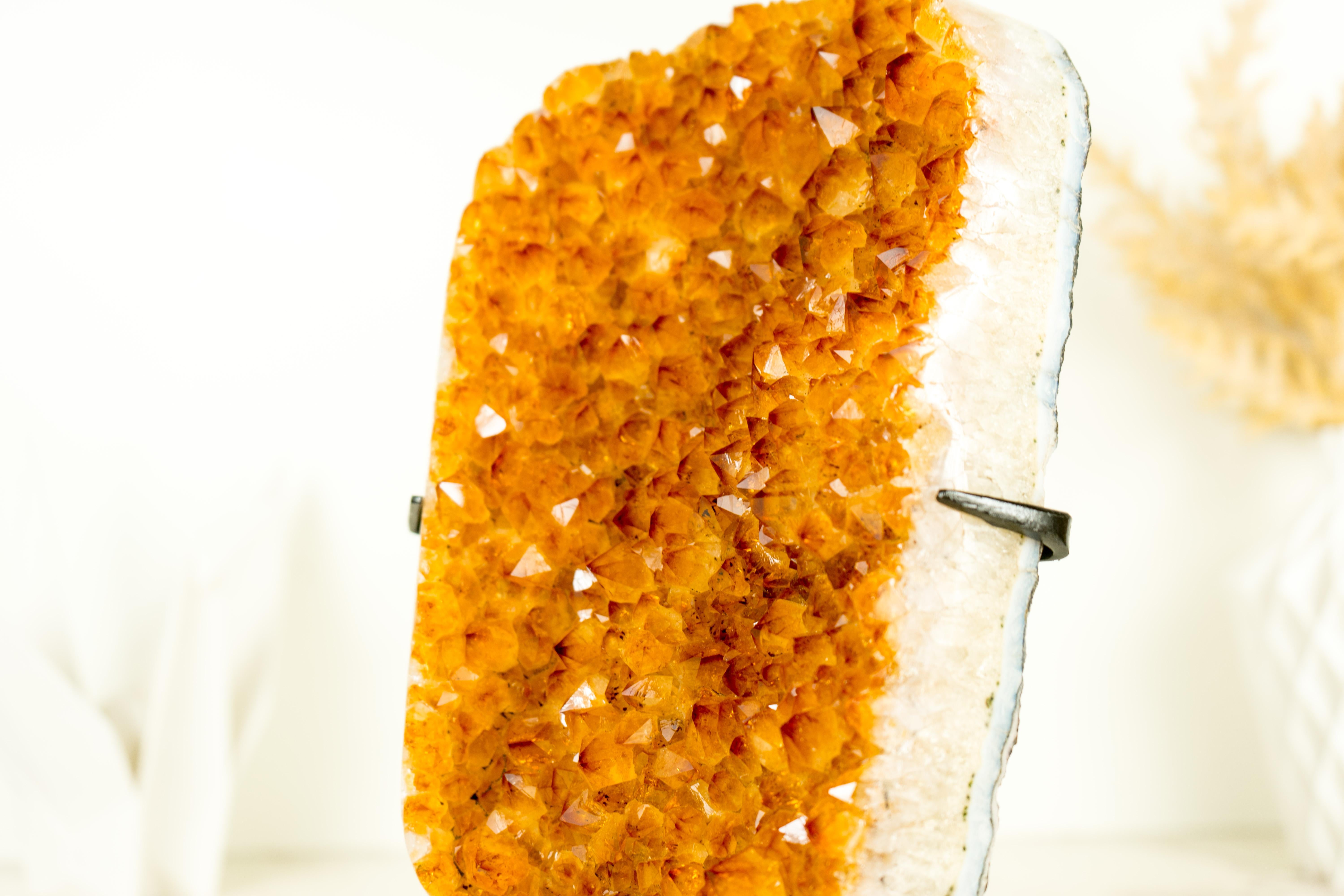 Contemporary Exceptional Golden Yellow Citrine Cluster with Sparkling Druzy, Crystal Decor For Sale