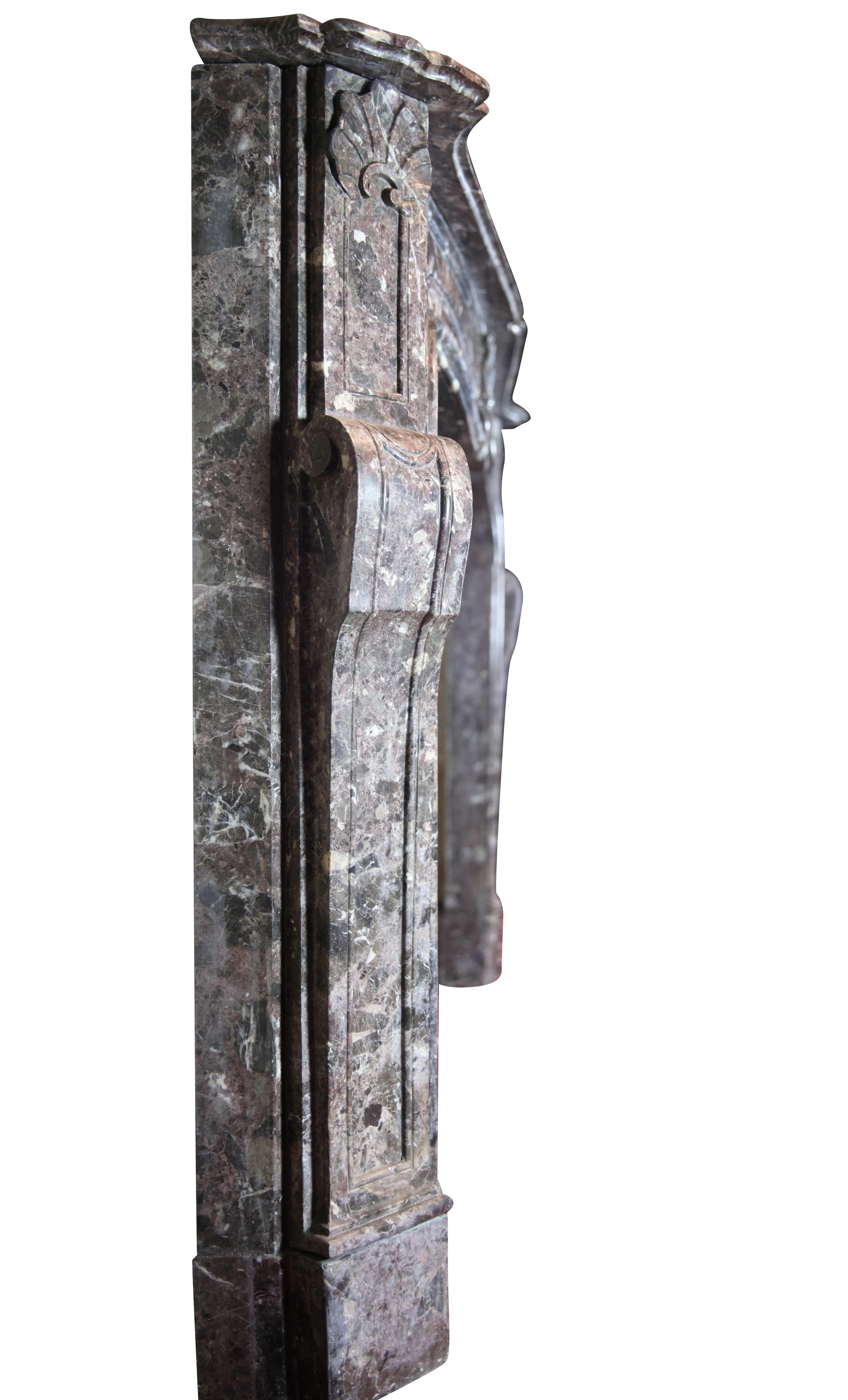 Excepcional Entorno De Chimenea De Mármol Para Una Decoración Interior De Lujo en venta 2
