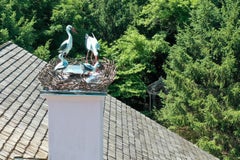 Exceptional Hand-Casted Bronze Sculptures of Storks for Rooftop Installation