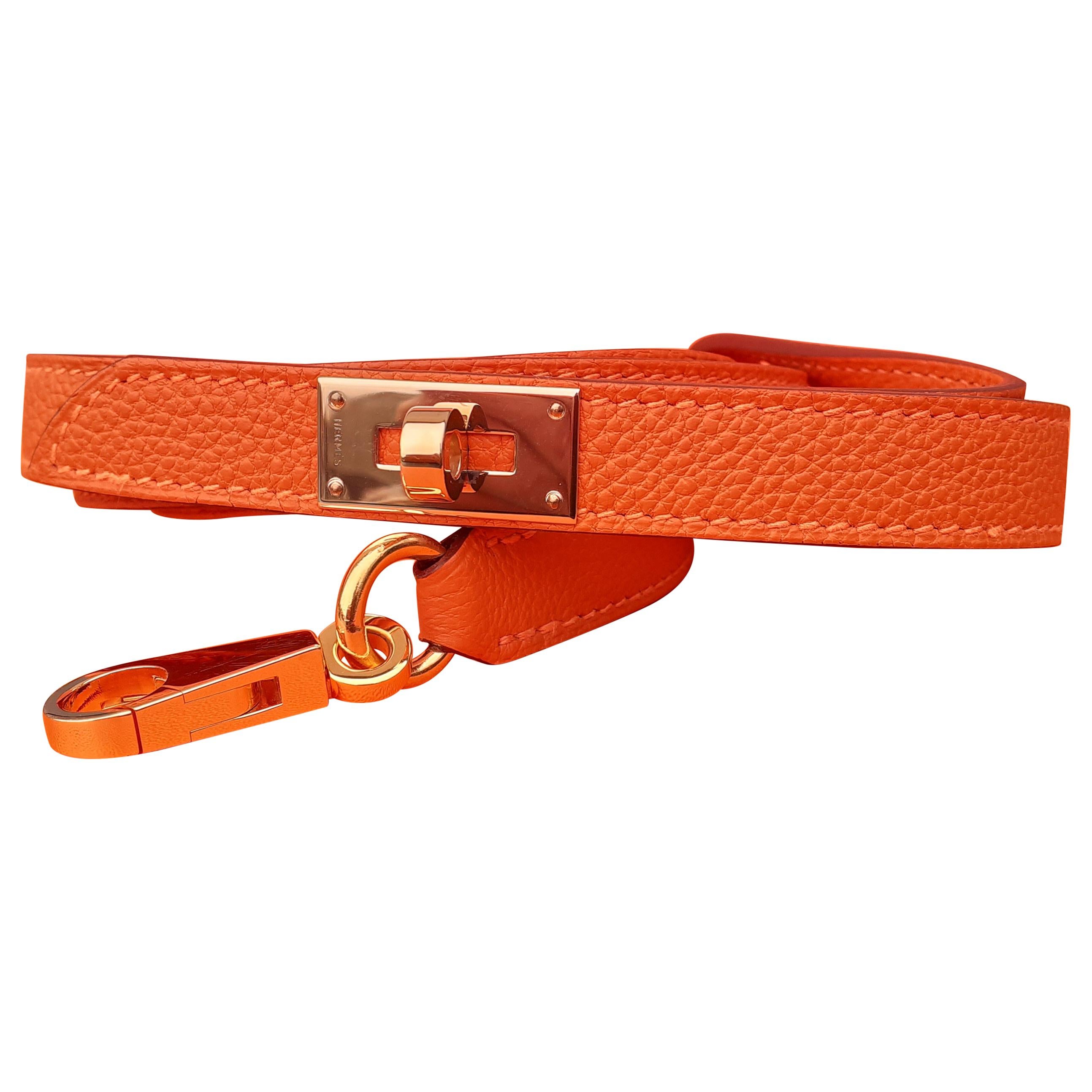 Hermes Hound Leather Dog Leash- 9 Colors