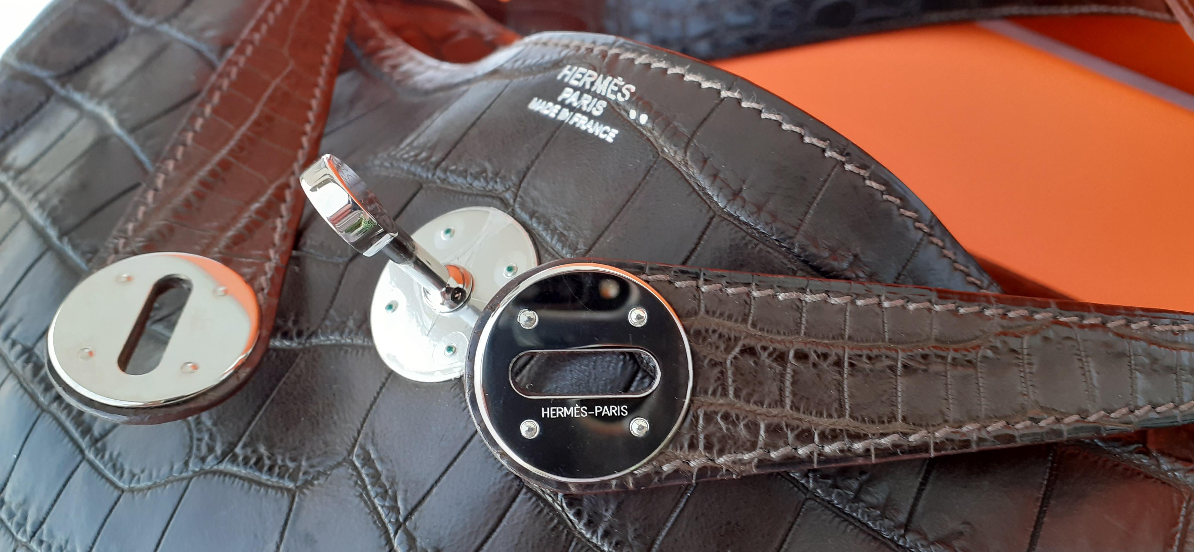 Exceptional Hermès Lindy Hand Bag Mat Gris Elephant Crocodile Phw 30 cm 6