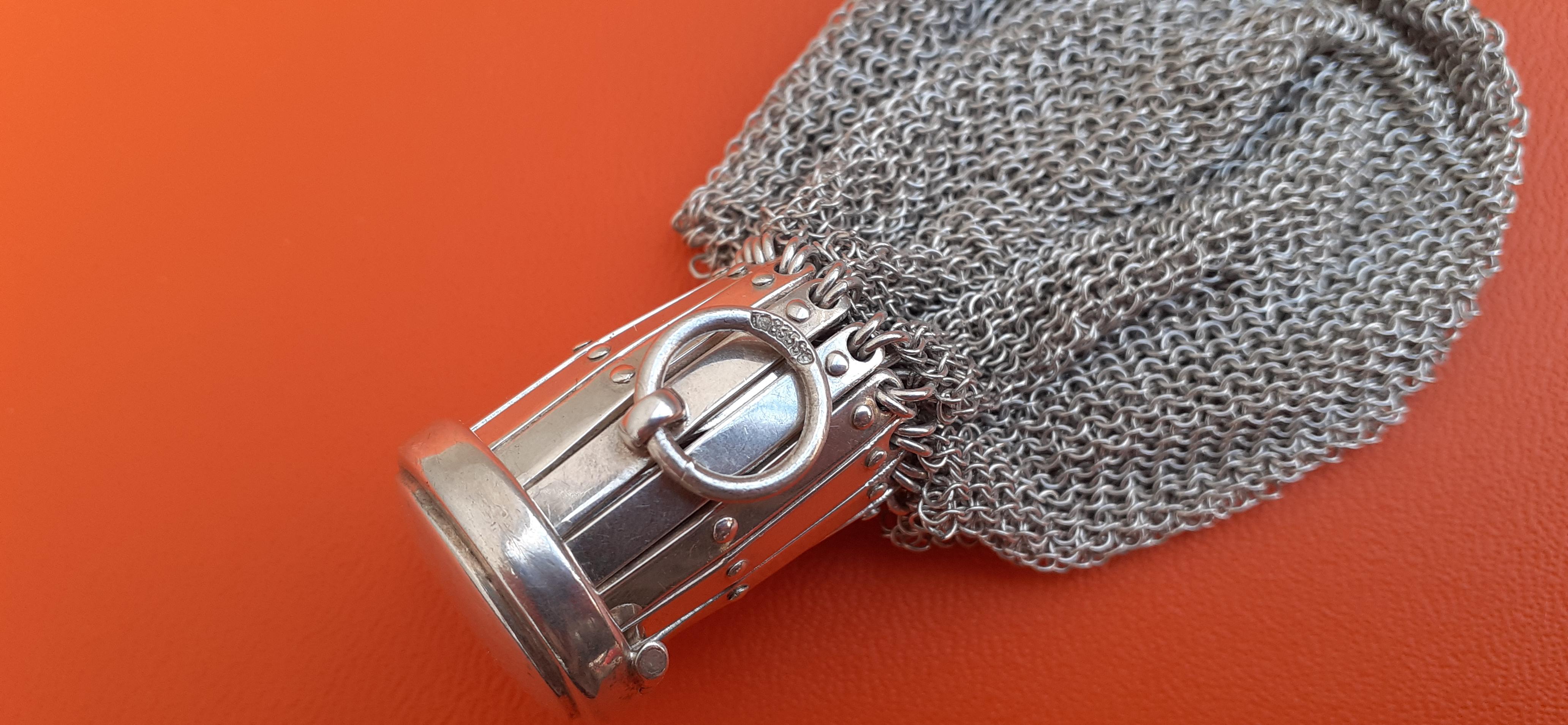Exceptional Hermès Retractable Silver Chainmail Meshes Coin Purse Vintage RARE 9