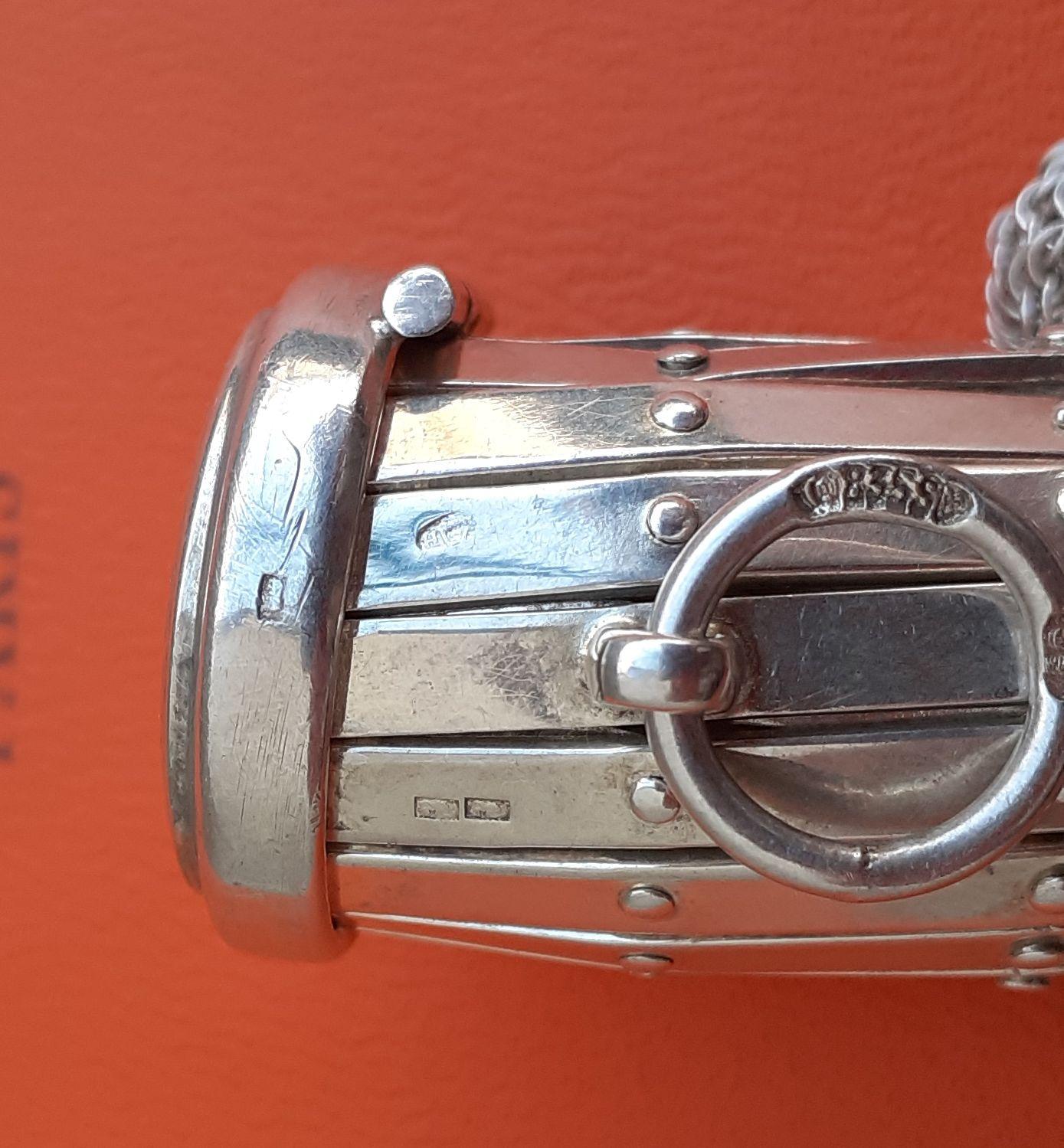 Exceptional Hermès Retractable Silver Chainmail Meshes Coin Purse Vintage RARE 1