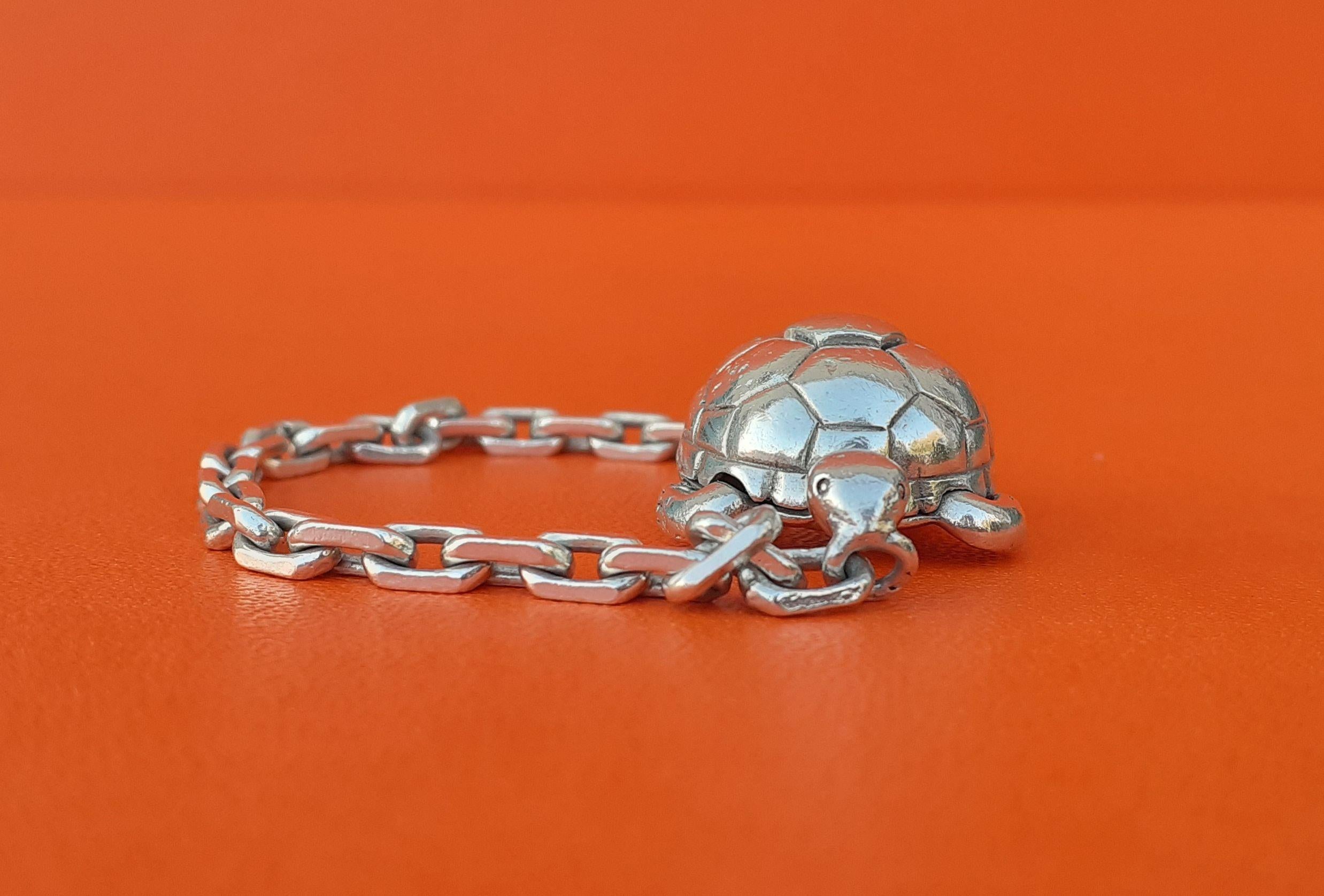 hermes turtle