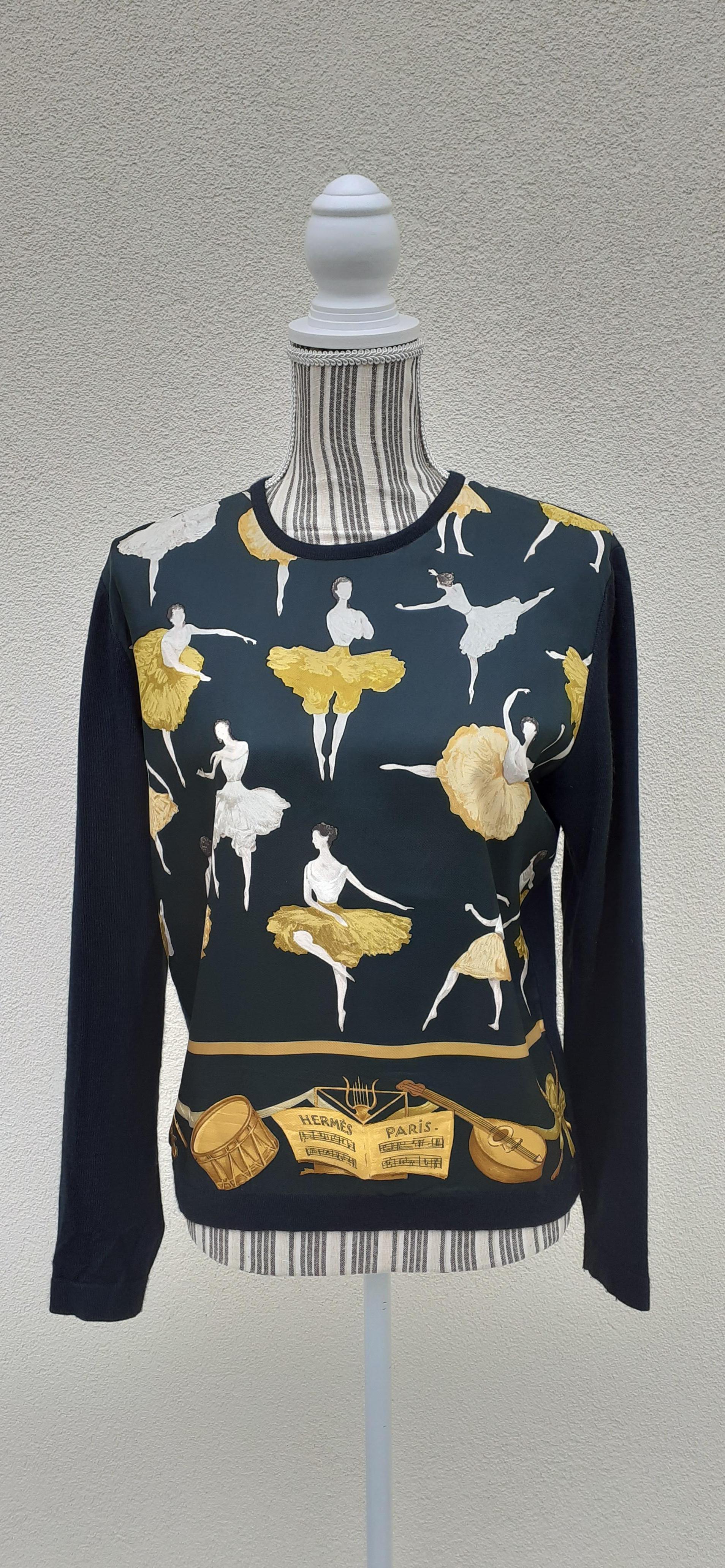 Gorgeous Authentic Hermès Sweater

Pattern: 