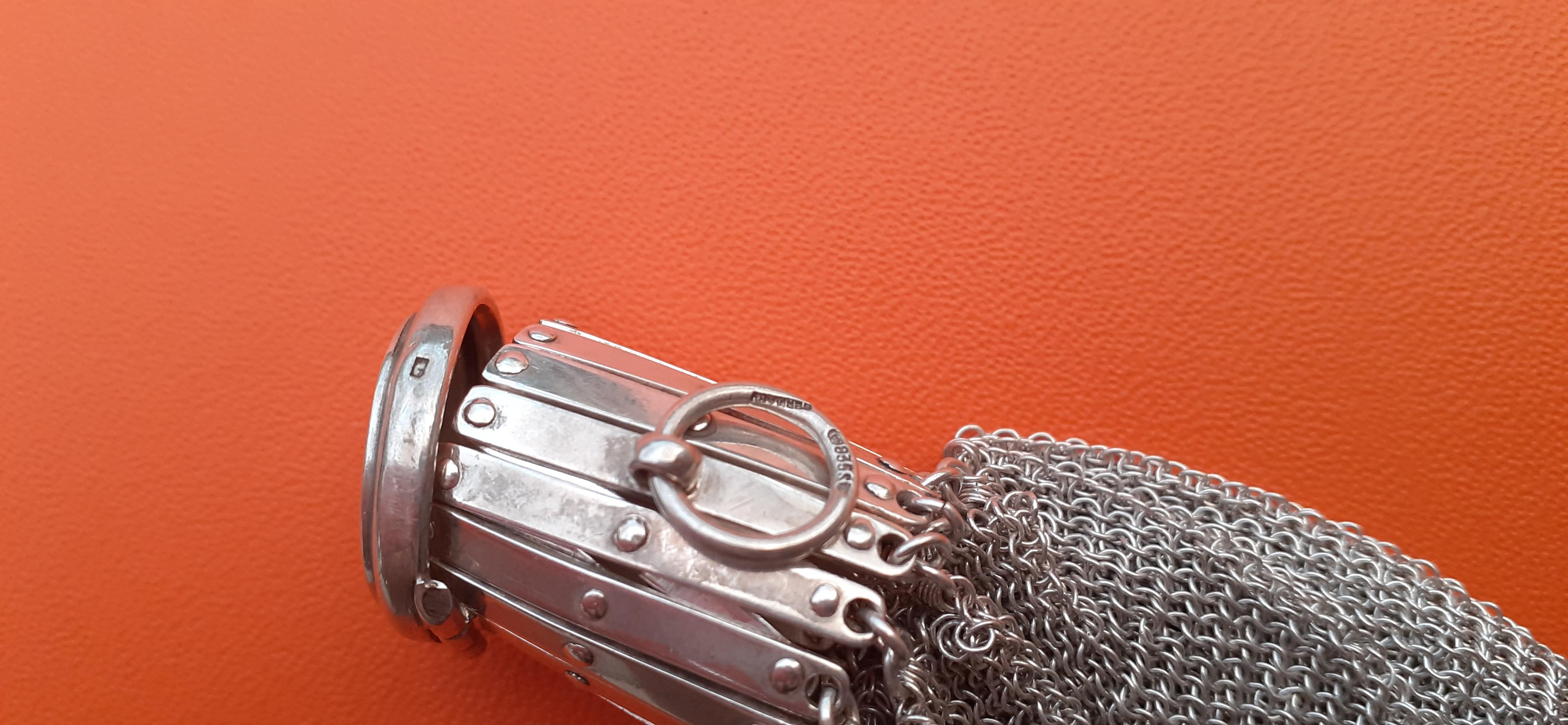 Exceptional Hermès Vintage Chainmail Almoner Coin Purse in Silver RARE 11