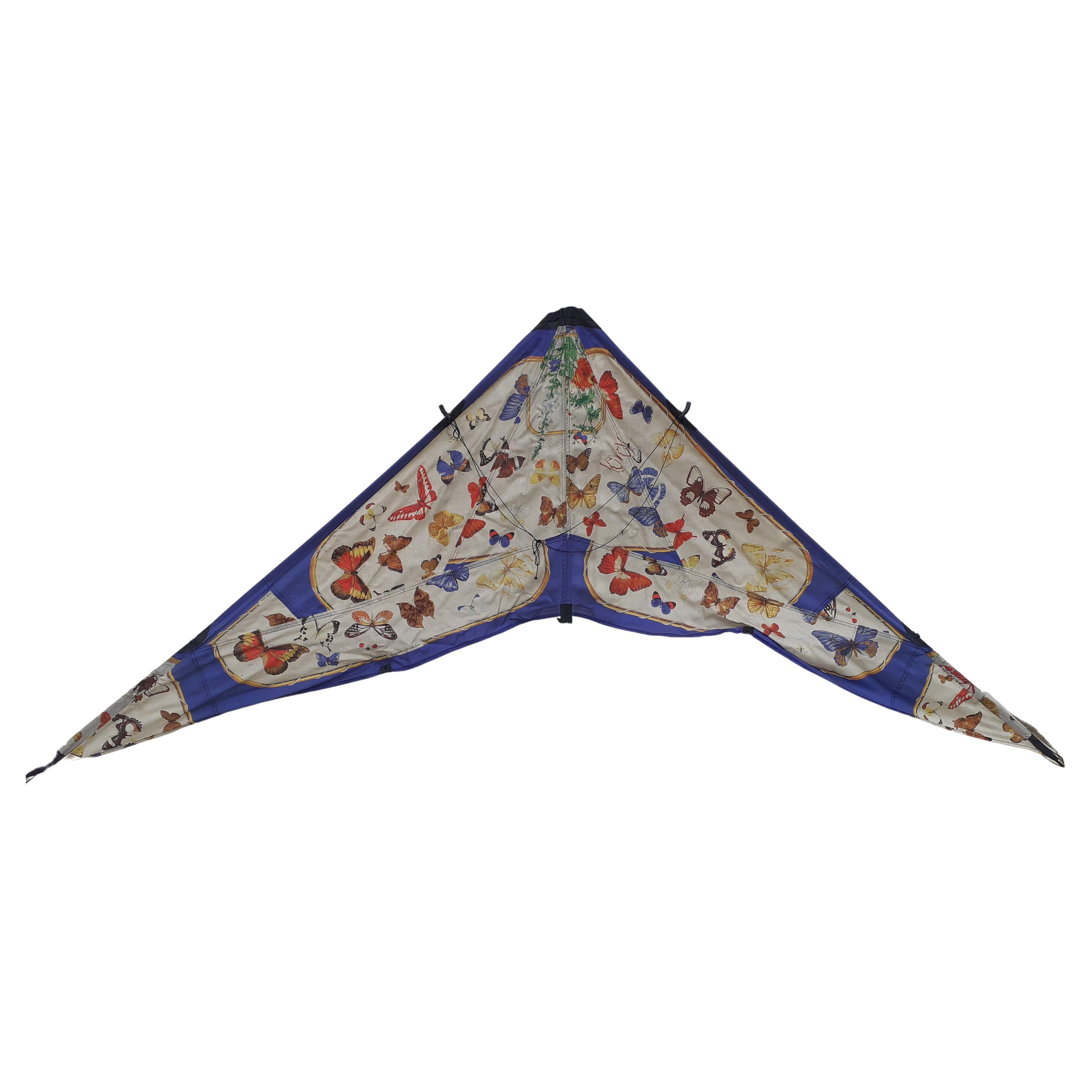 Exceptional Hermès Vintage Kite Farandole Butterflies Print RARE 9