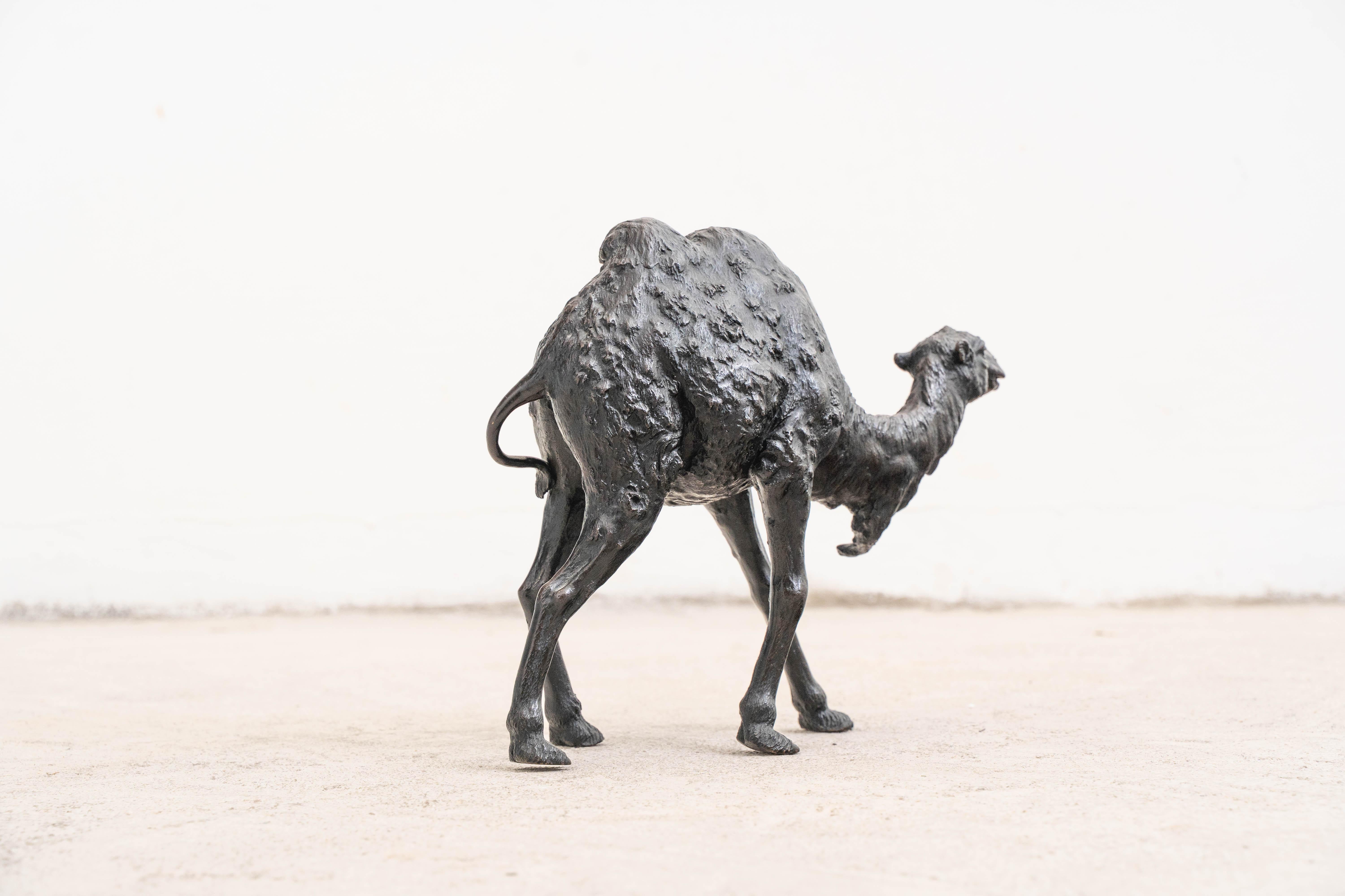 Meiji Genryusai Seiya: An Important Patinated Bronze Okimono of a Bactrian Camel For Sale