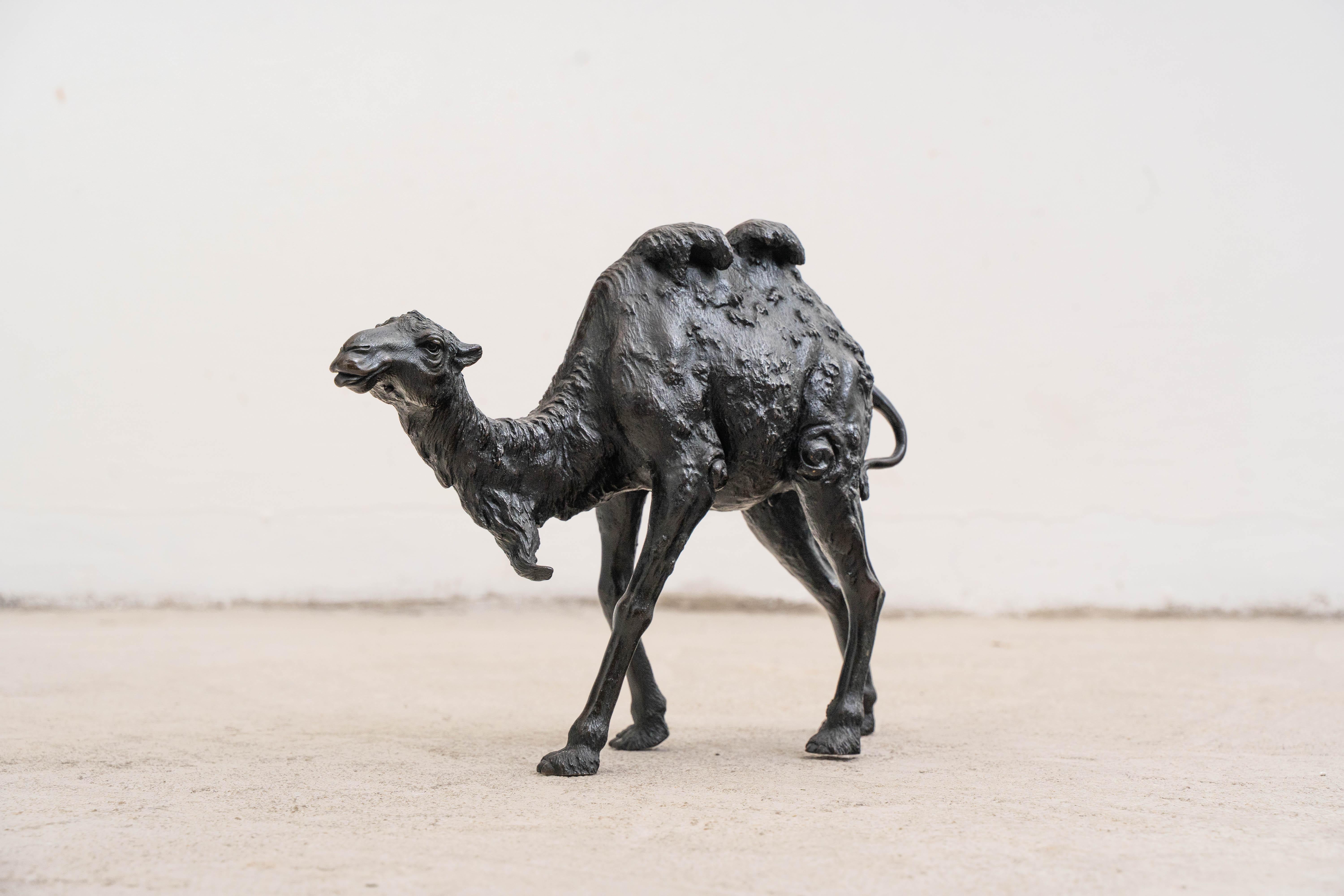 Japanese Genryusai Seiya: An Important Patinated Bronze Okimono of a Bactrian Camel For Sale