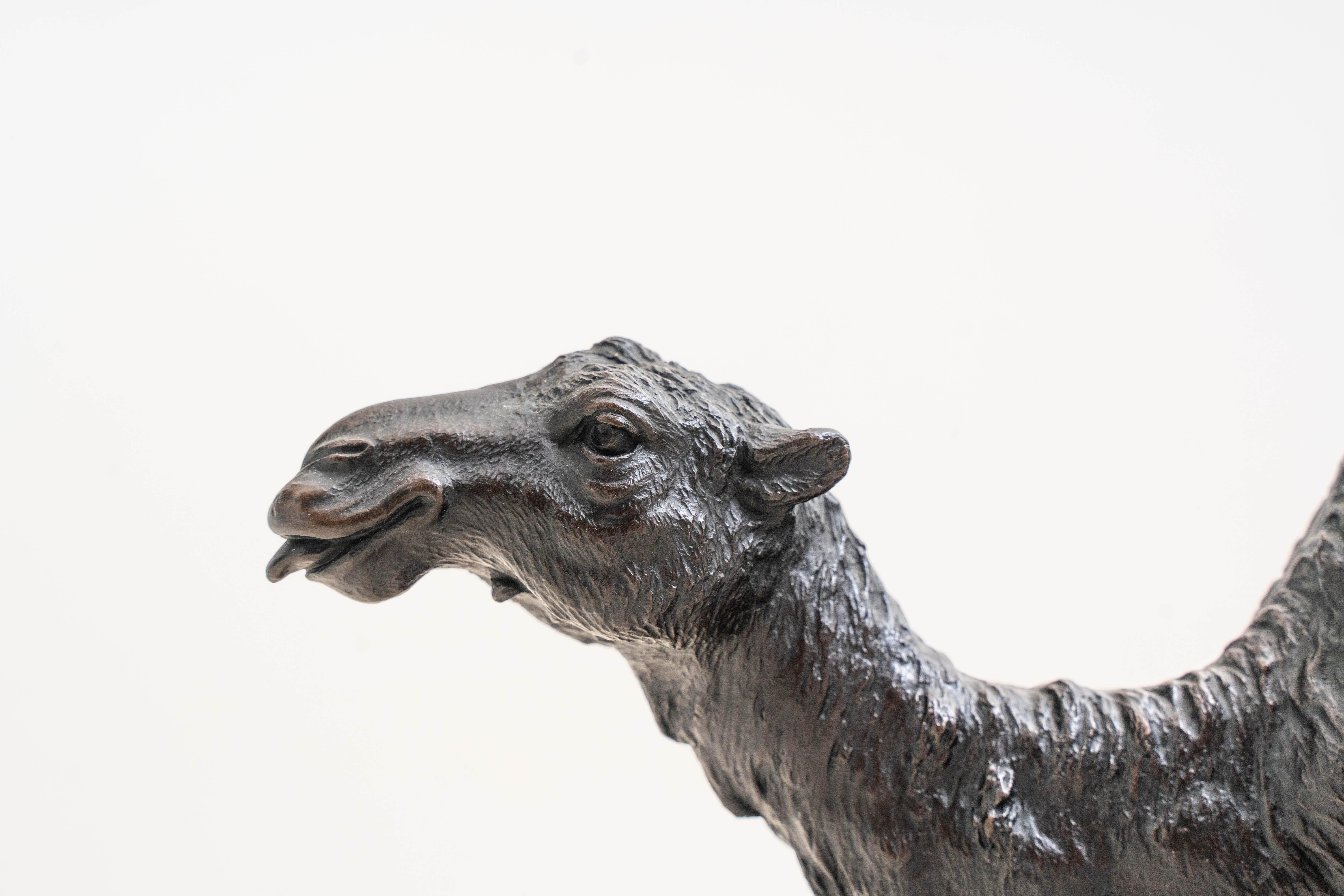 Genryusai Seiya: An Important Patinated Bronze Okimono of a Bactrian Camel For Sale 3