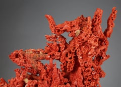 Exceptional Large Chinese Carved Coral Figural Group of a Pine Tree & Scholars