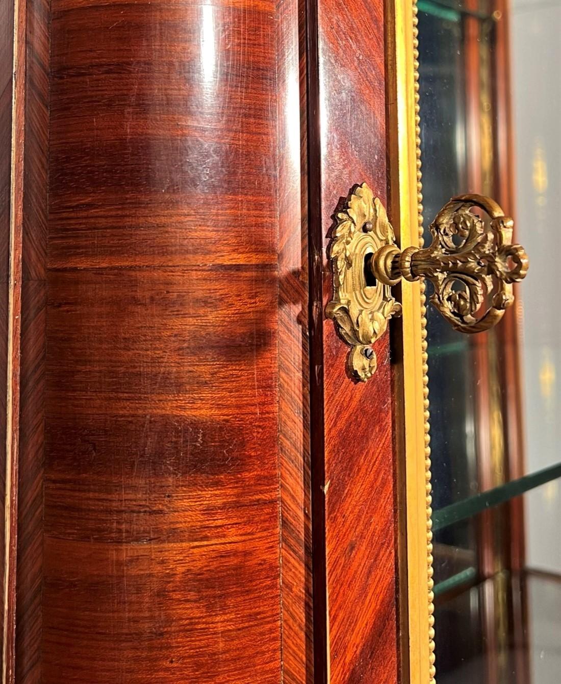 20th Century Exceptional Louis XVI Style Showcase in the manner of François Linke For Sale