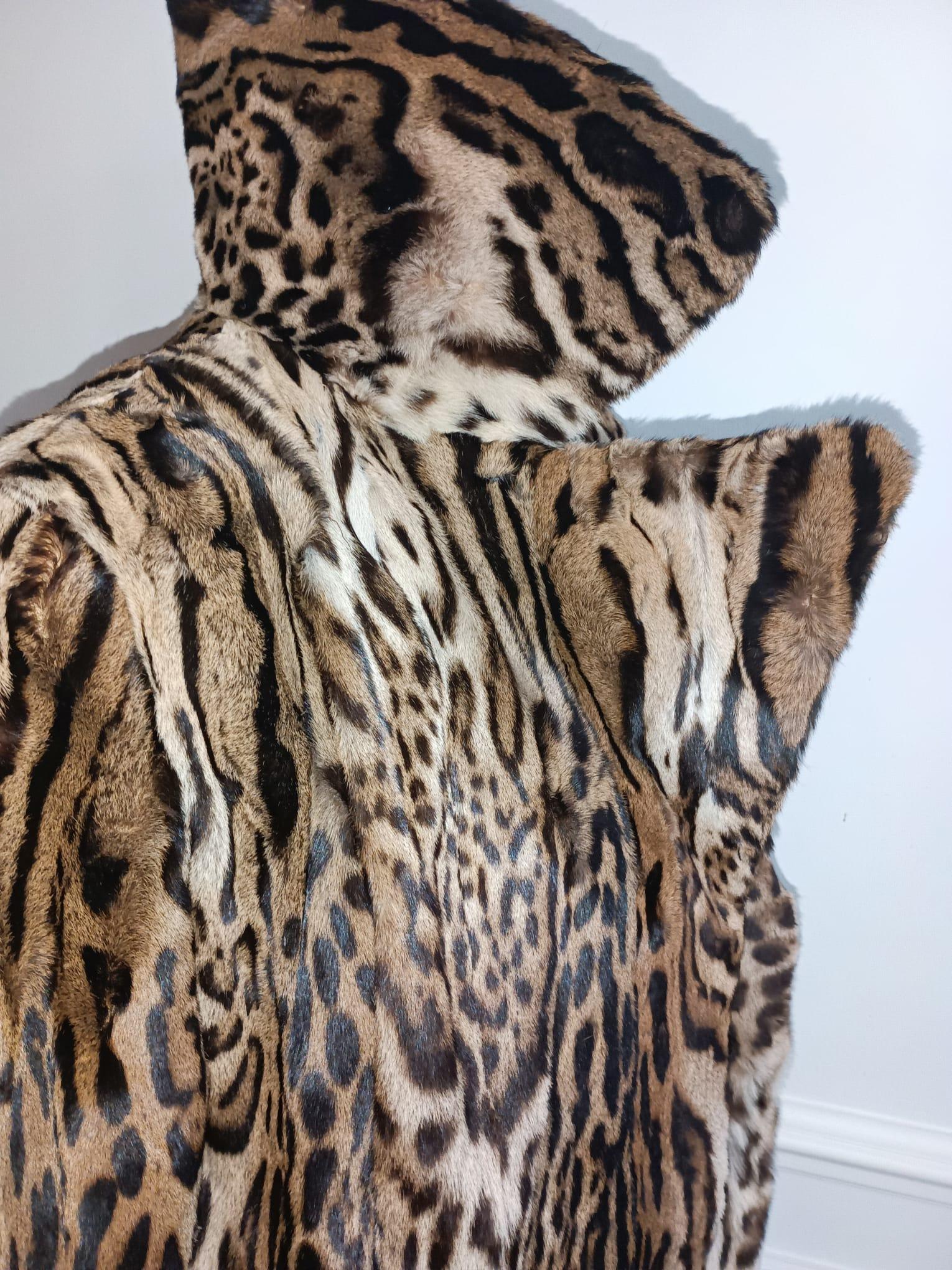Eccezionale pelliccia di ocelot brasiliano maturo con collo a tacca taglia 10/M in vendita 7