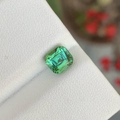 Exceptionnelle pierre tourmaline verte menthe taille coussin 1,55 carat d'Afghanistan