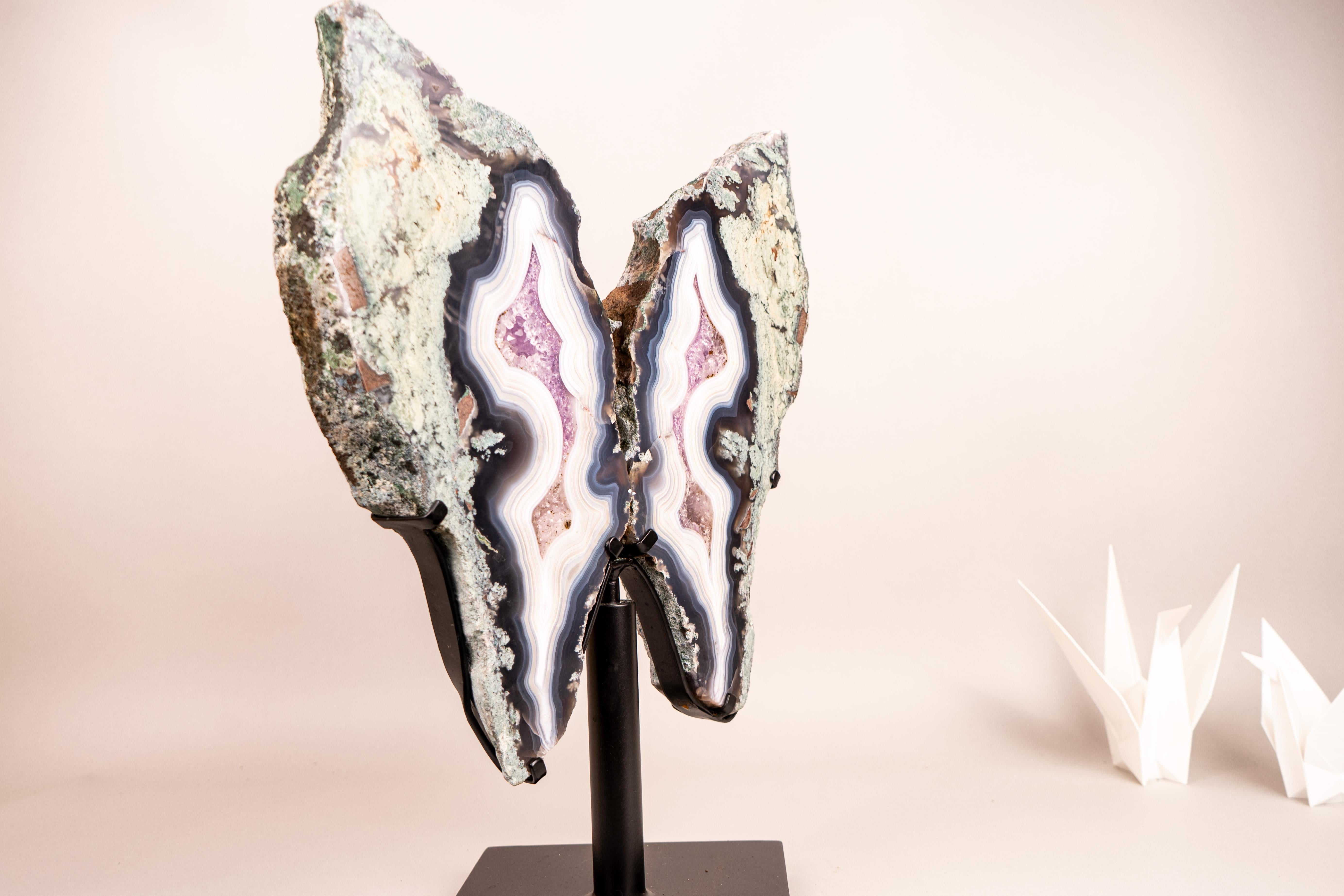 Rare Agate Wings with Crystallized Center – The Perfect Agate

▫️ Description

A mirrored pair of agate slices that embodies true rarity—this superb Brazilian agate is easily among the rarest we have ever seen. This natural masterpiece forms a