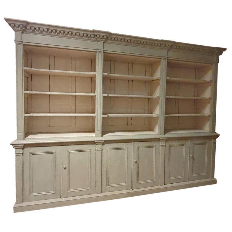 Exceptional Painted Irish Bookcase For Sale at 1stDibs