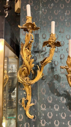 Eccezionale coppia di grandi lampade francesi del XIX secolo in stile Luigi XV in bronzo dorato