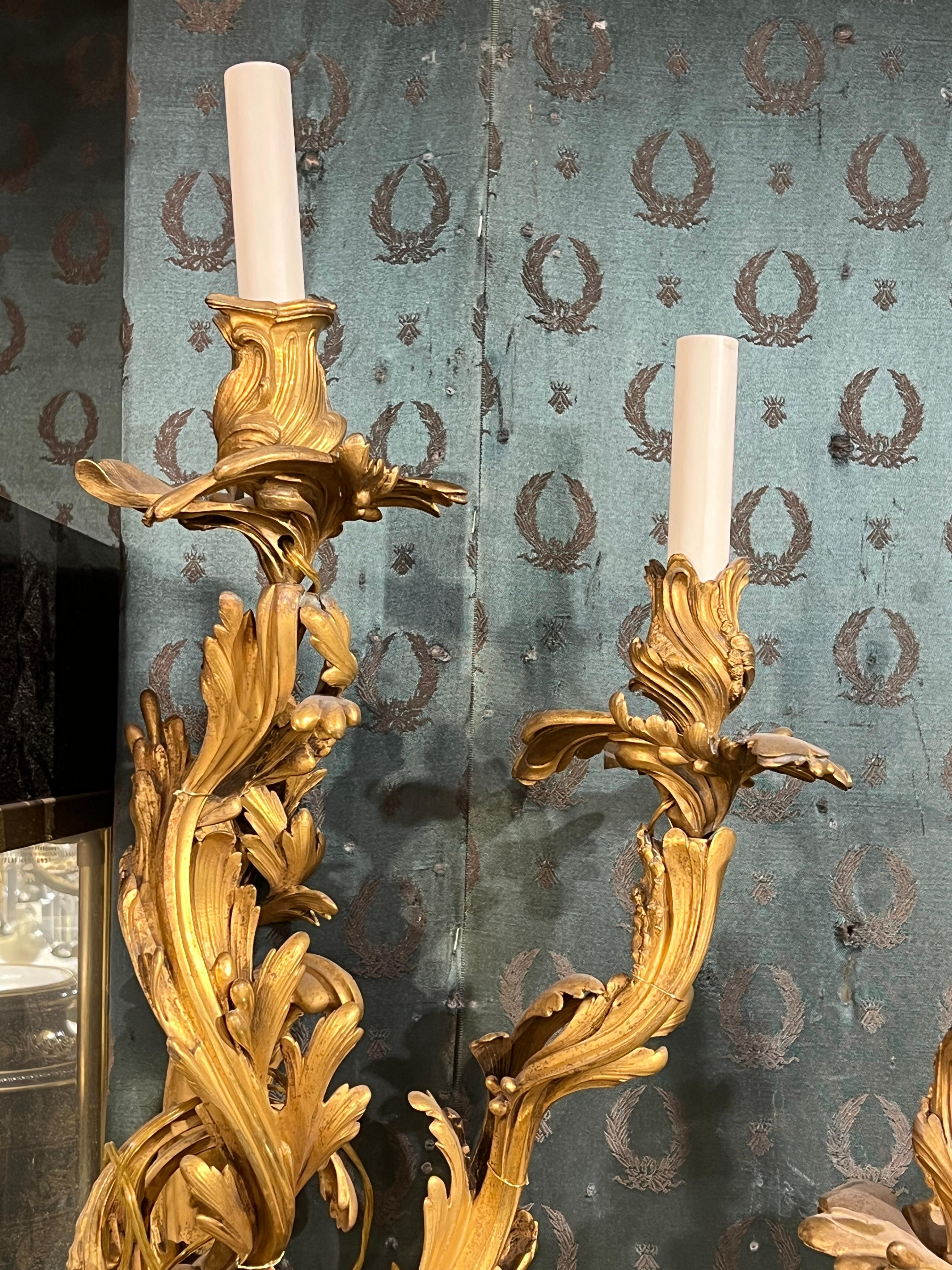 Excepcional pareja de grandes candelabros de bronce dorado estilo Luis XV francés del siglo XIX Francés en venta