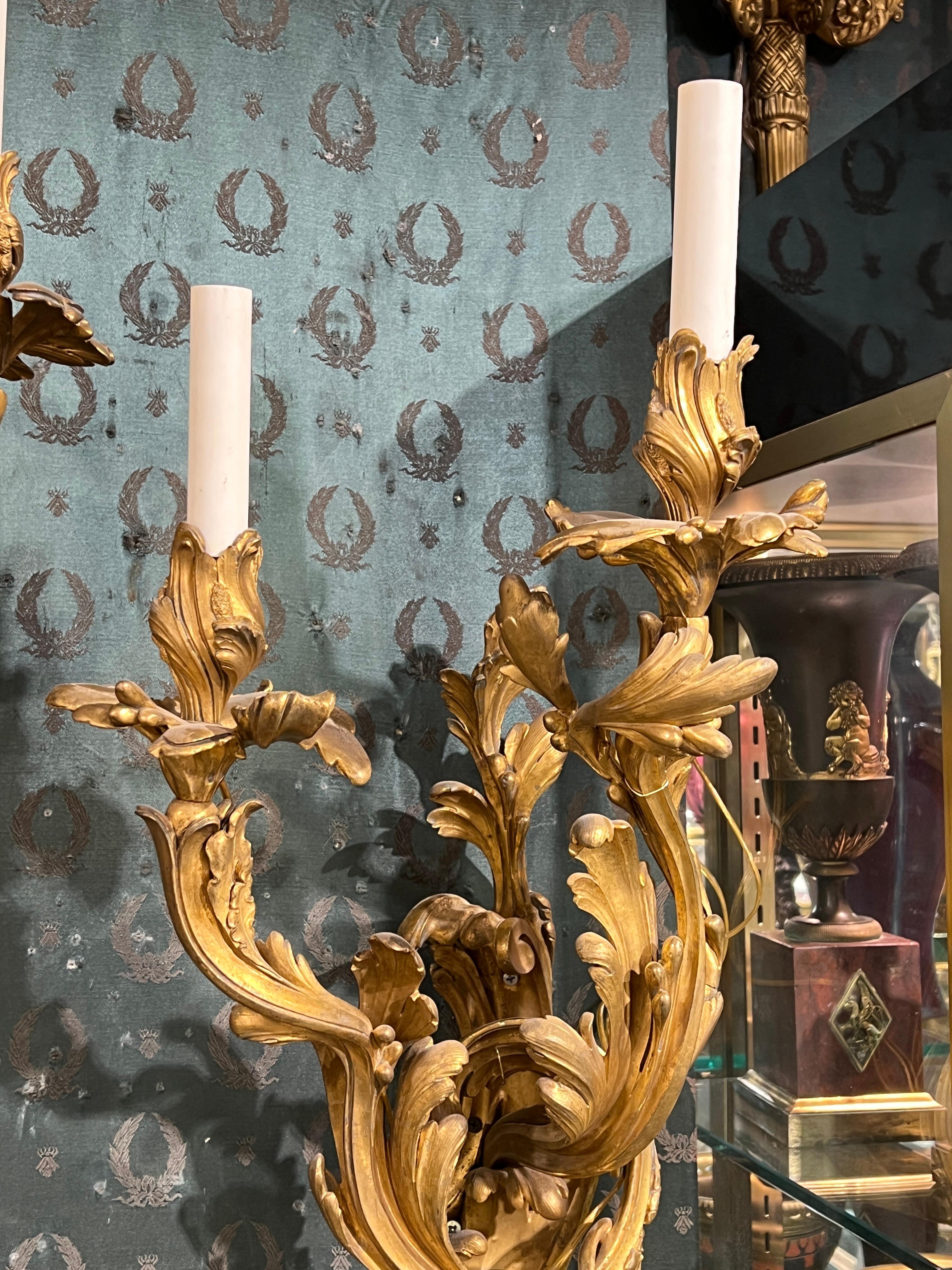 Excepcional pareja de grandes candelabros de bronce dorado estilo Luis XV francés del siglo XIX en Bueno estado para la venta en New York, NY