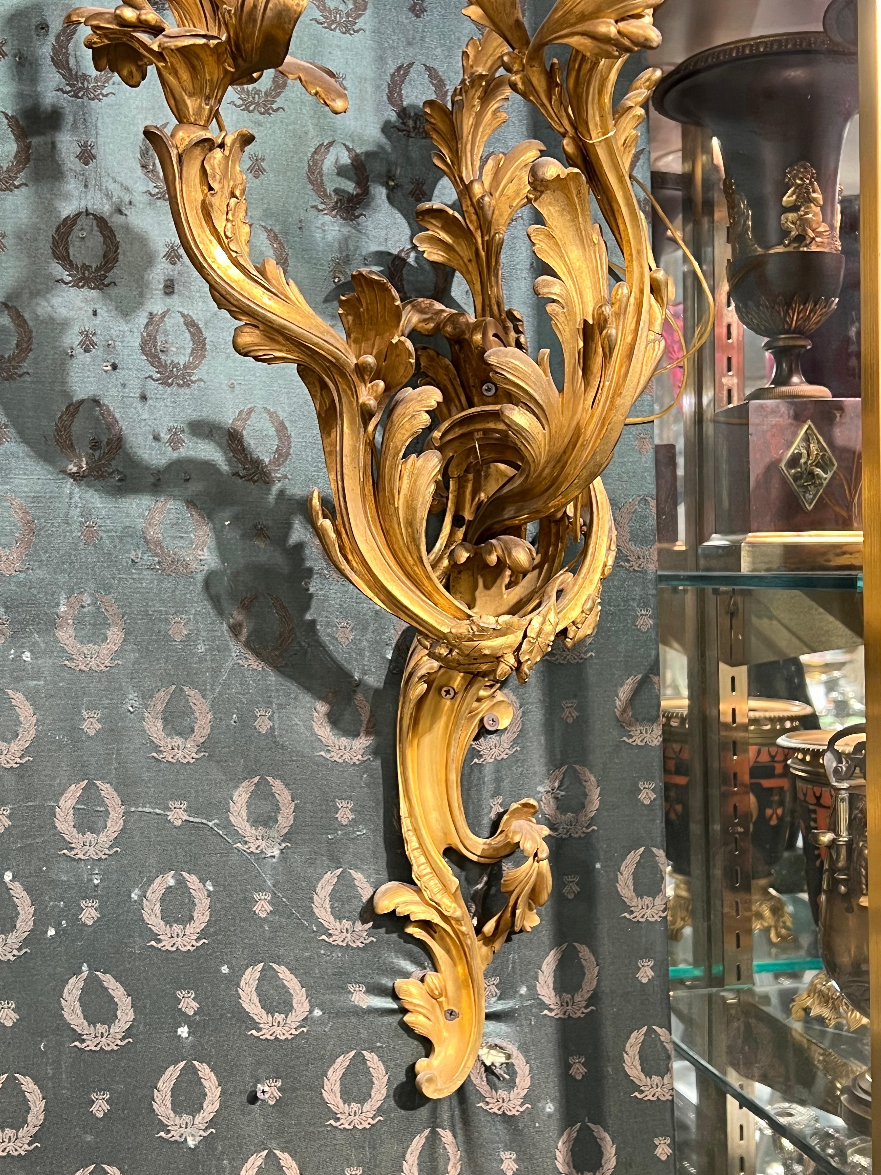 Excepcional pareja de grandes candelabros de bronce dorado estilo Luis XV francés del siglo XIX Bronce en venta