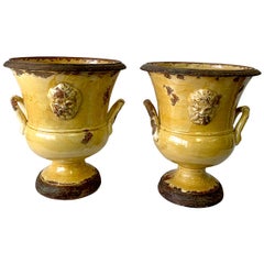 Exceptional Pair of Italian  Anduze / Yellow Glazed Terracotta Medallion Urns